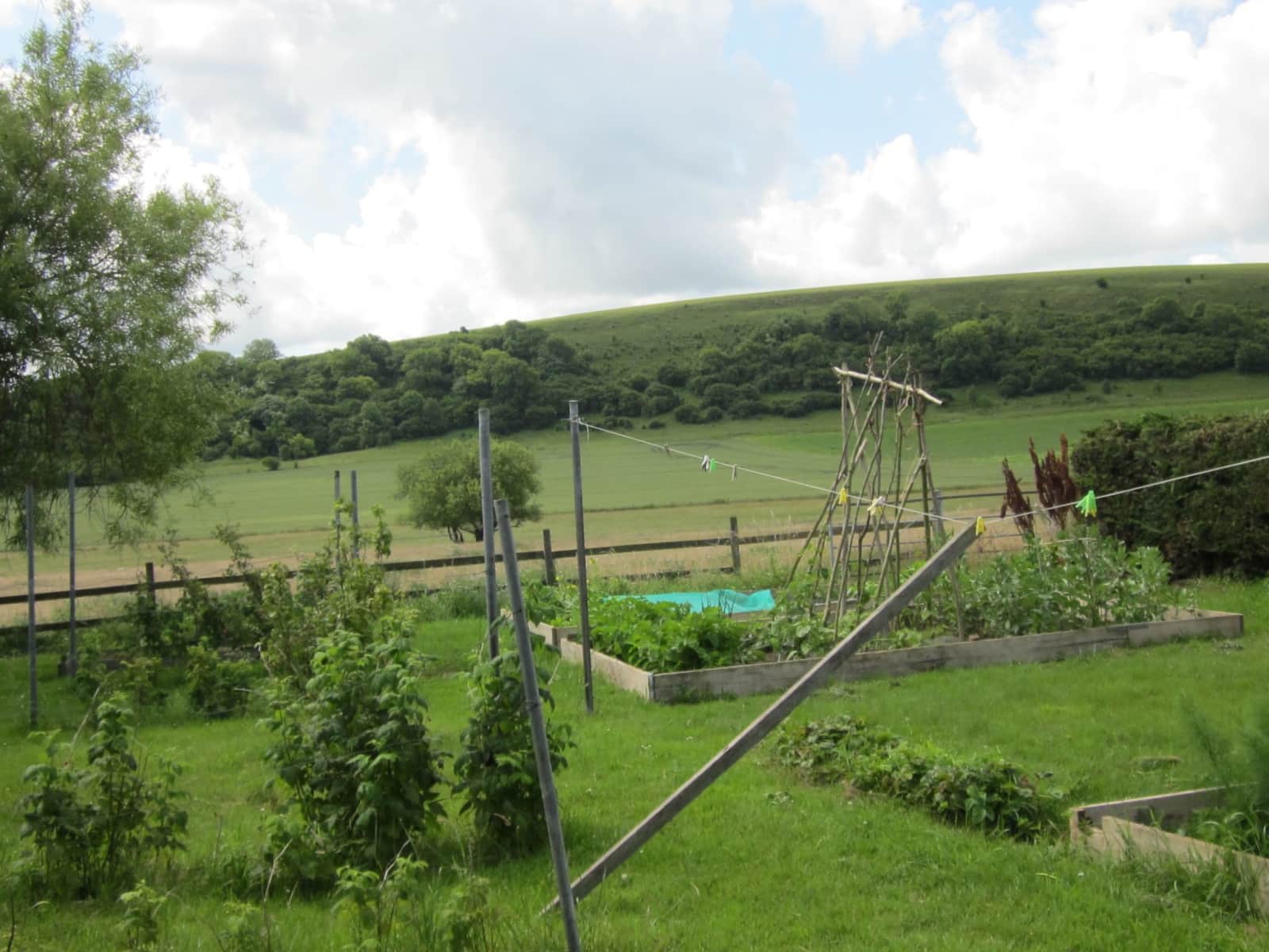 Housesitting assignment in Warminster, United Kingdom