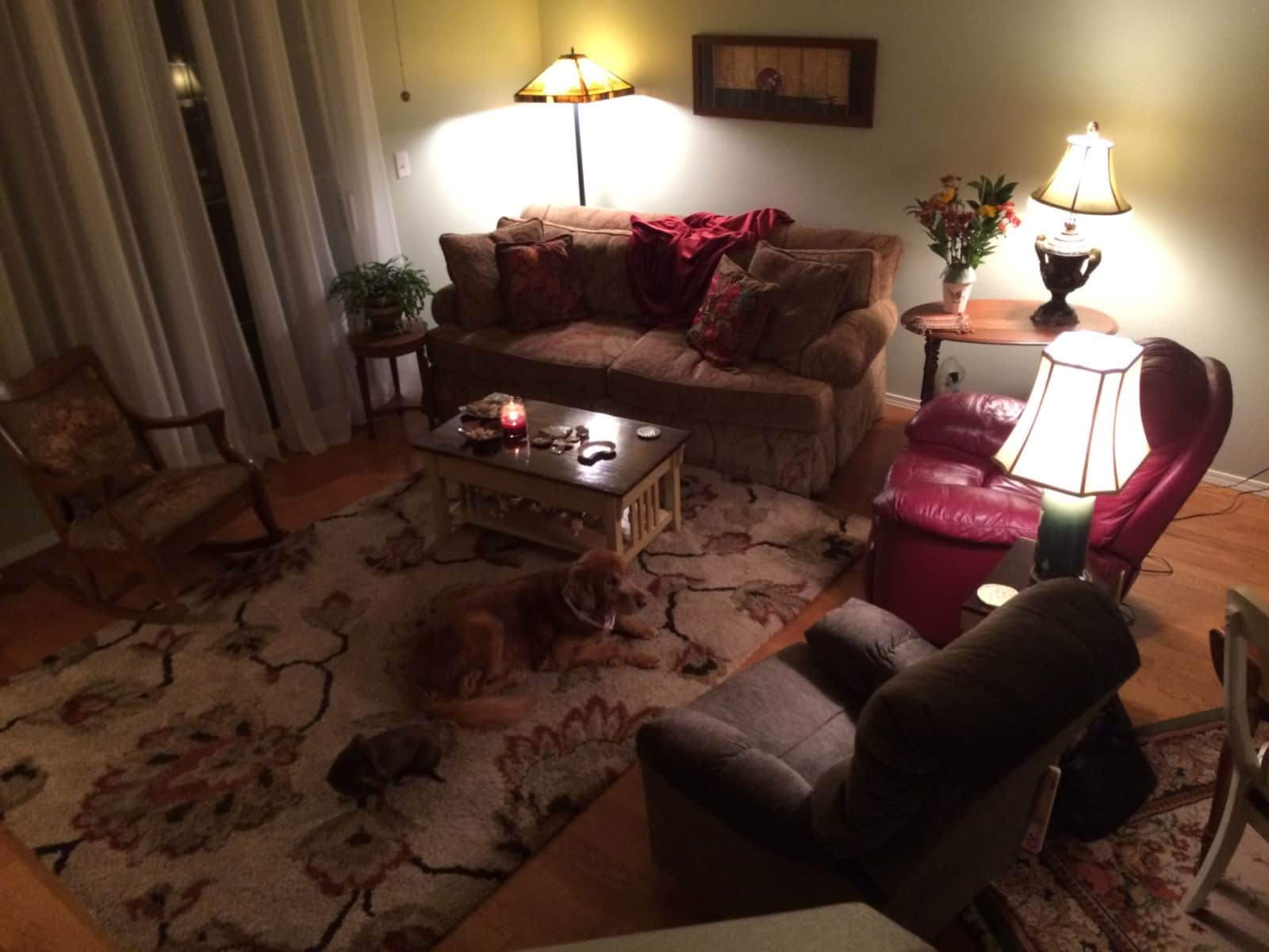 Housesitting assignment in Colorado Springs, Colorado, United States