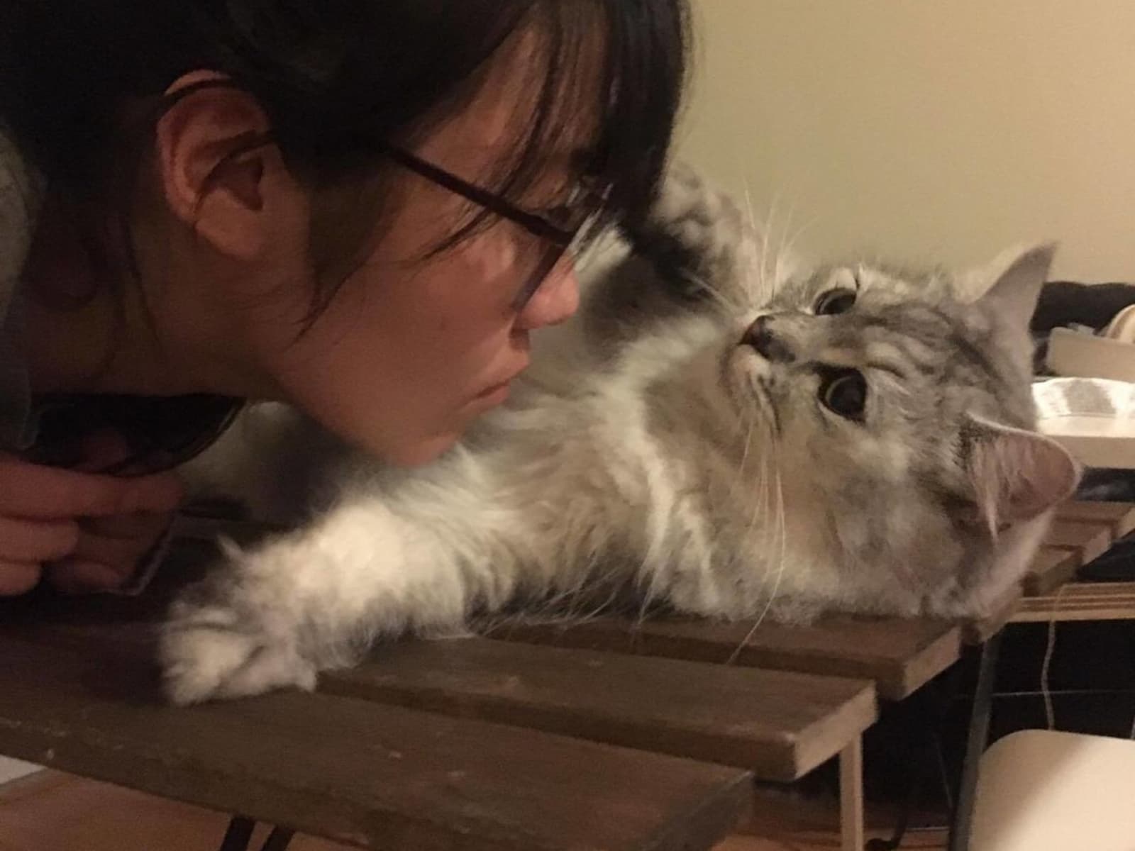Taeyoun & Ben from Toronto, Ontario, Canada