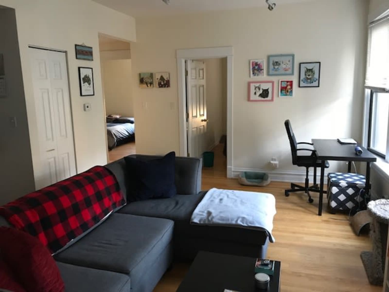 Housesitting assignment in Edgewater, Illinois, United States