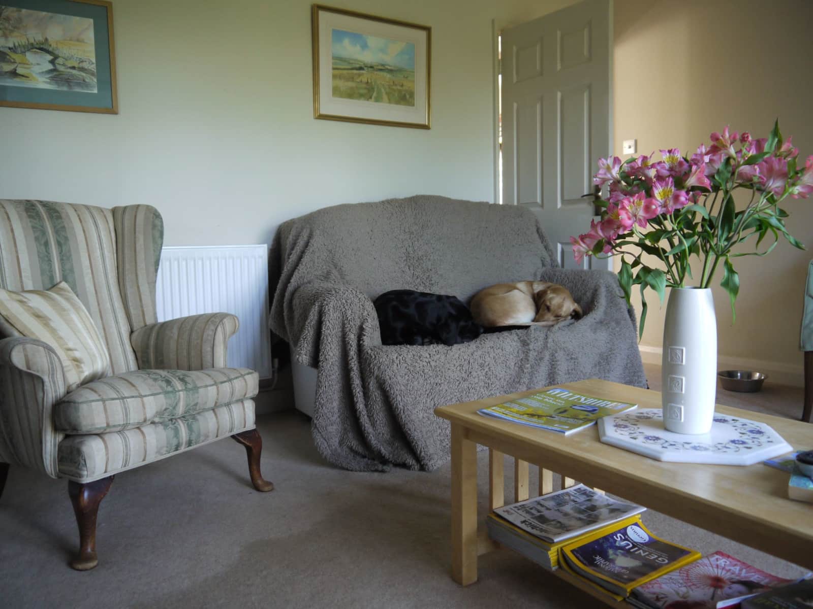 Housesitting assignment in Marlborough, United Kingdom