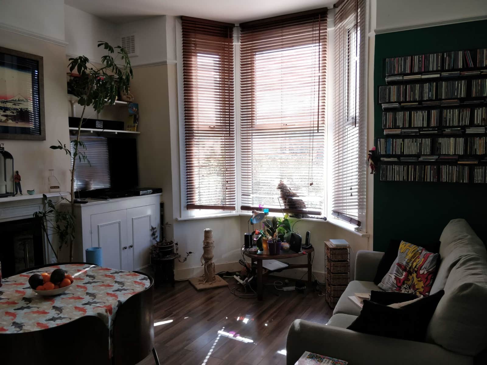 Housesitting assignment in Catford, United Kingdom