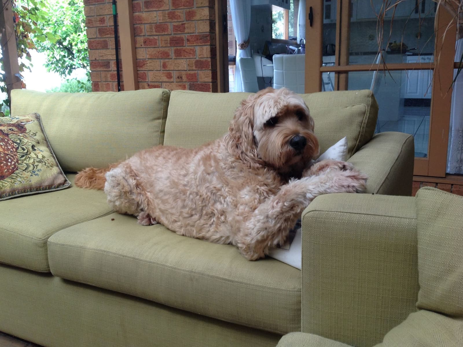 Jan from Endeavour Hills, Victoria, Australia