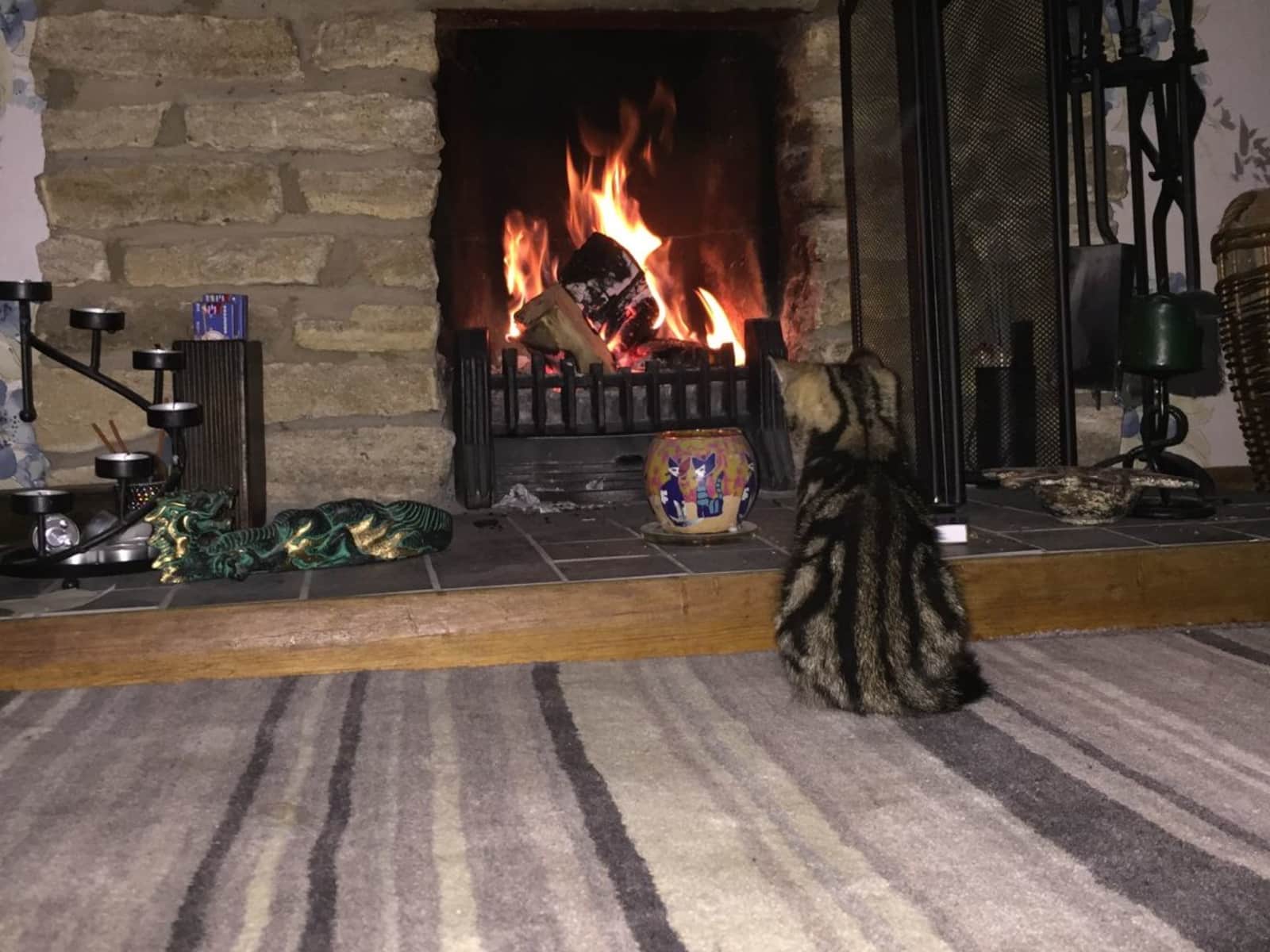 Housesitting assignment in Tadley, United Kingdom