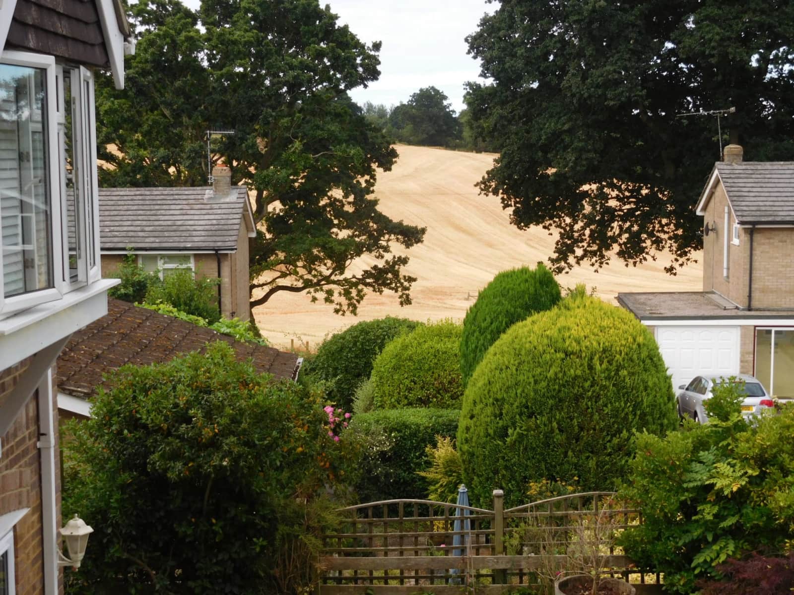 Housesitting assignment in Redlynch, United Kingdom