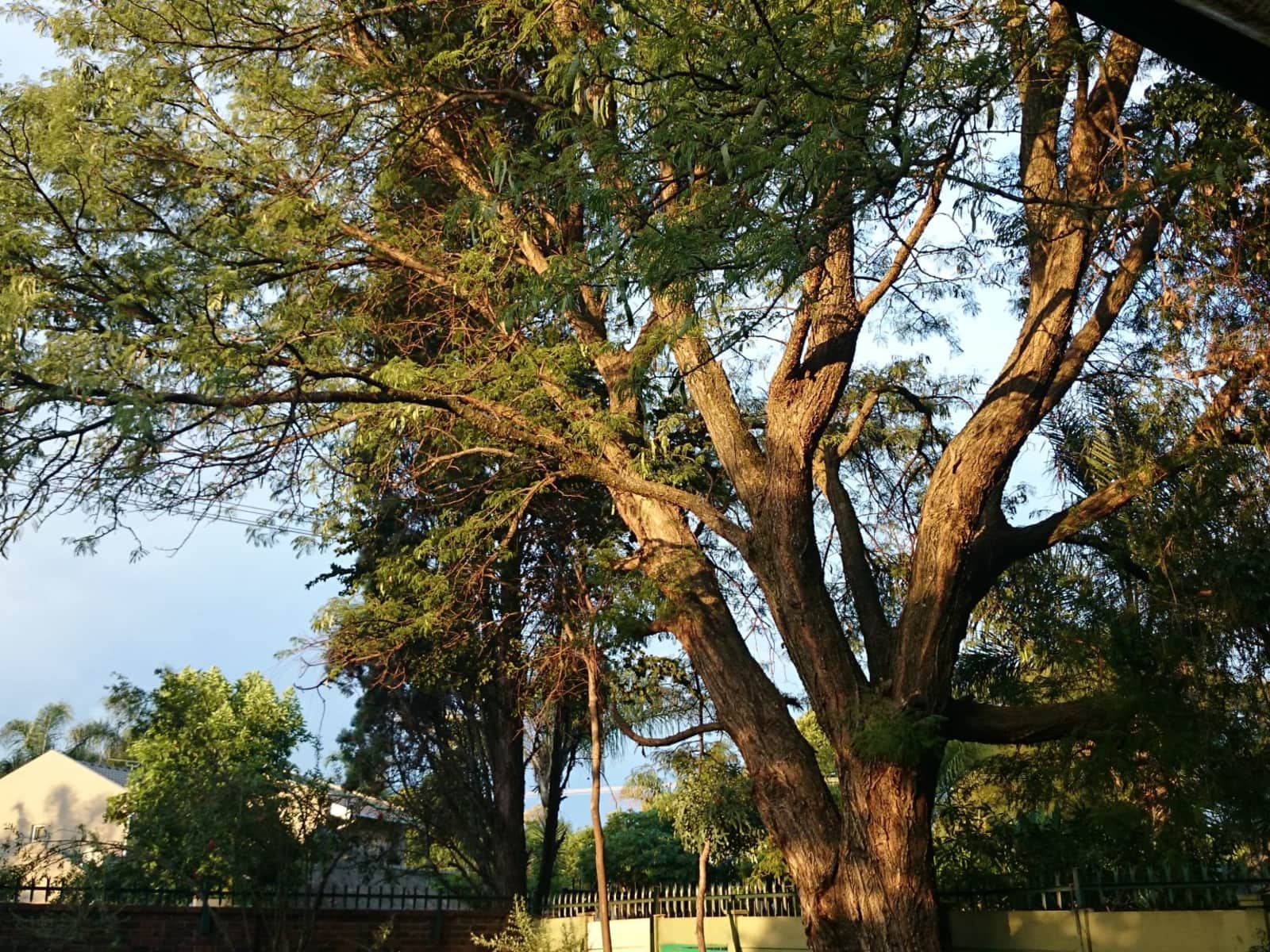 Housesitting assignment in Centurion, South Africa