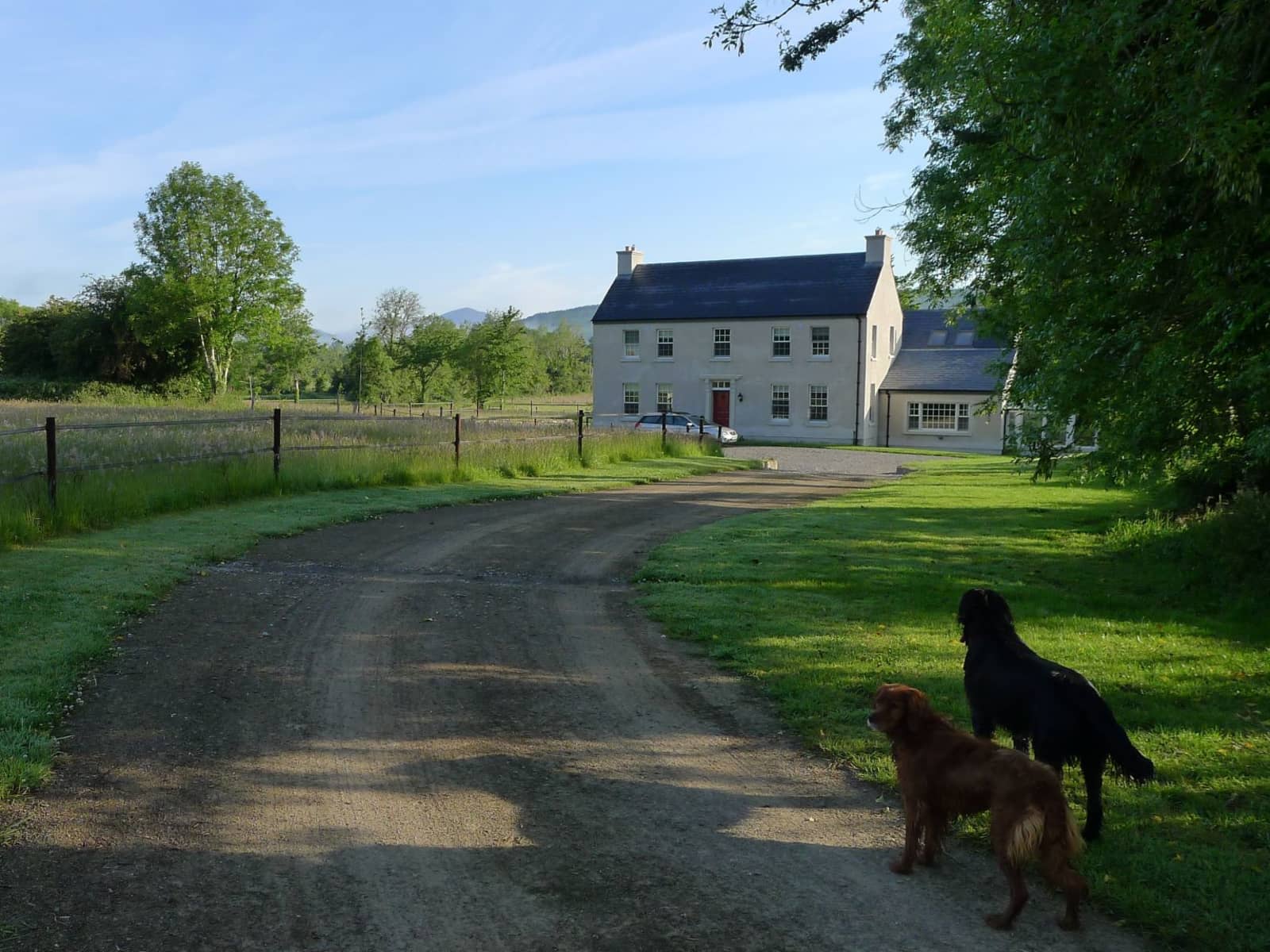 Housesitting assignment in Cappoquinn, Ireland