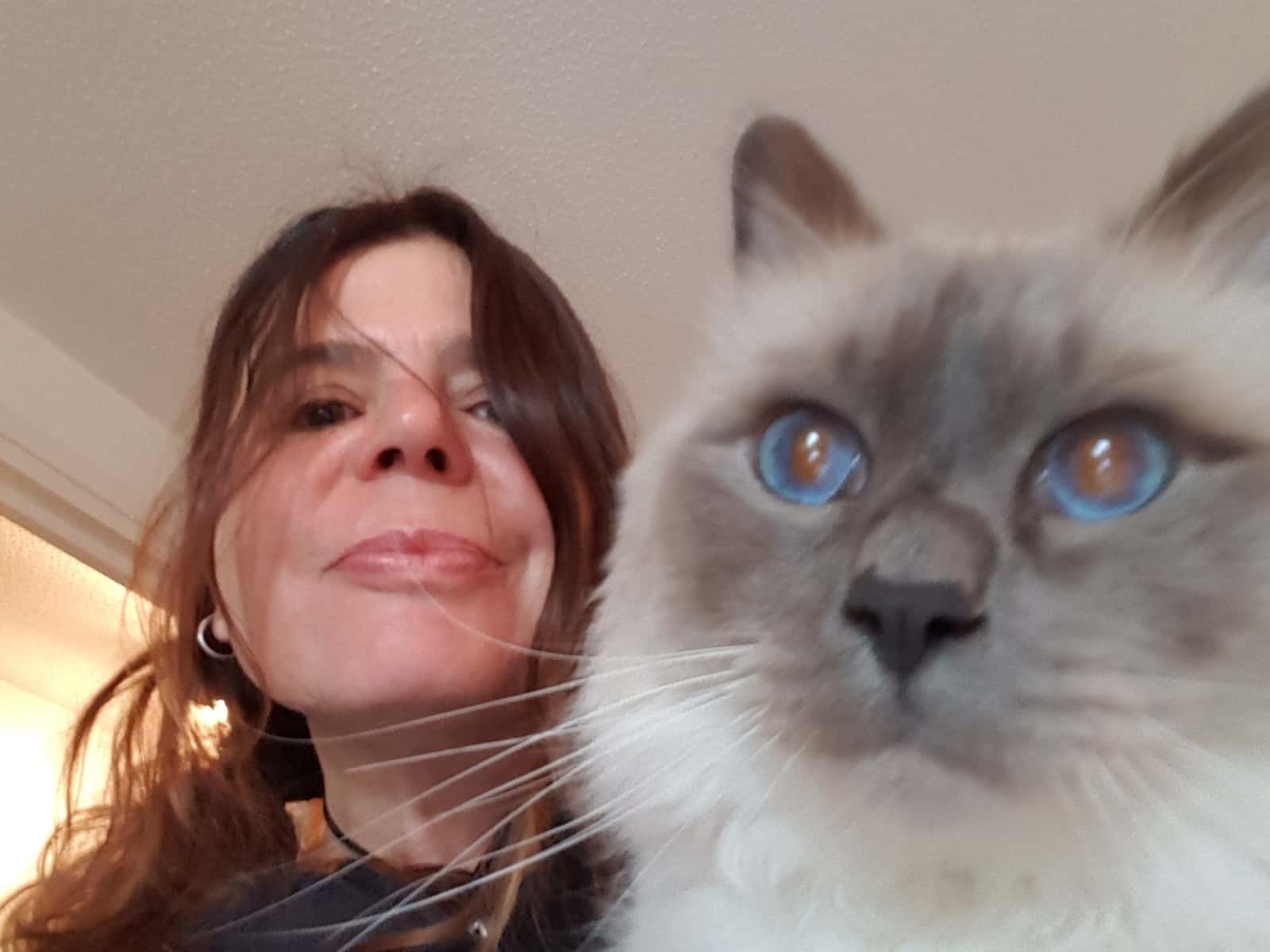 Josefina from London, United Kingdom