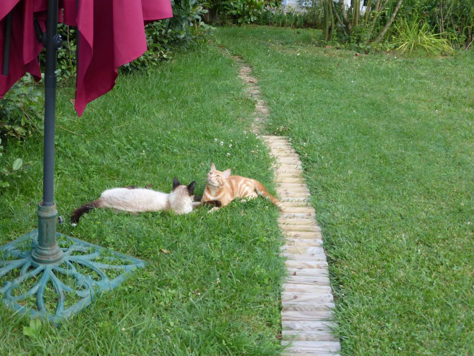 Housesitting assignment in Bordeaux, France