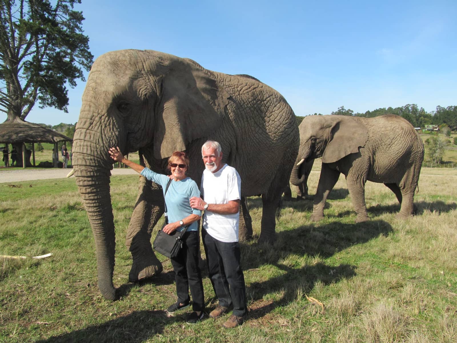 Lesley & Colin from Gold Coast, Queensland, Australia