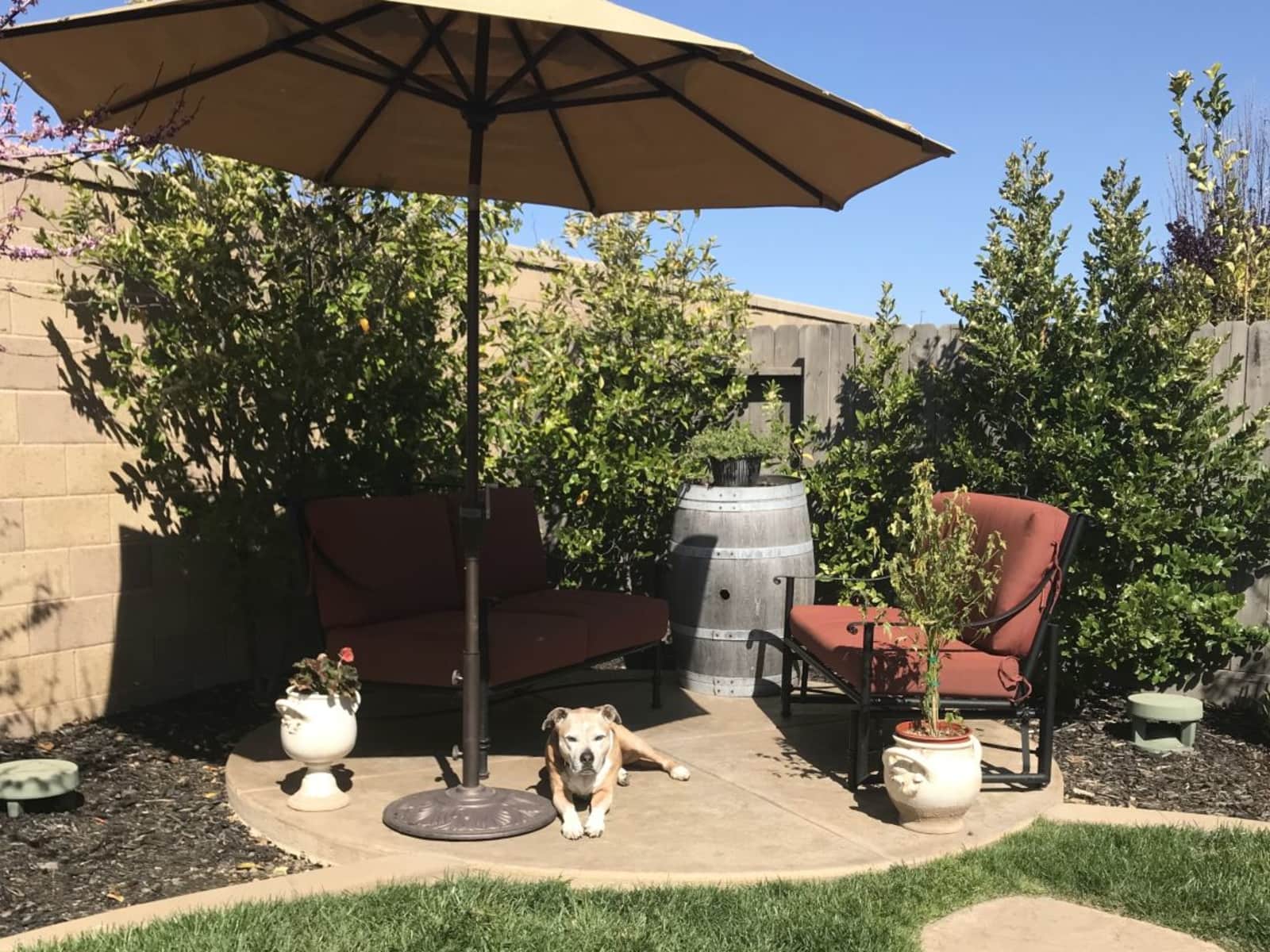 Housesitting assignment in El Dorado Hills, California, United States