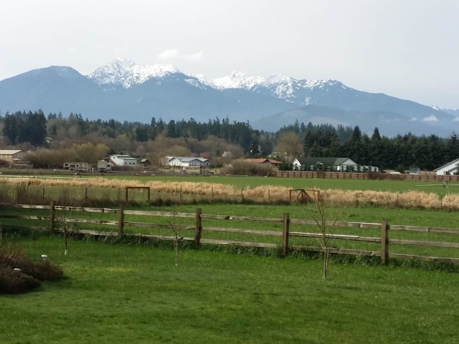 Housesitting assignment in Port Angeles, Washington, United States