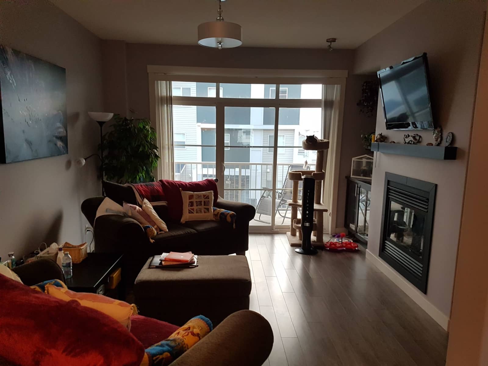 Housesitting assignment in Calgary, Alberta, Canada