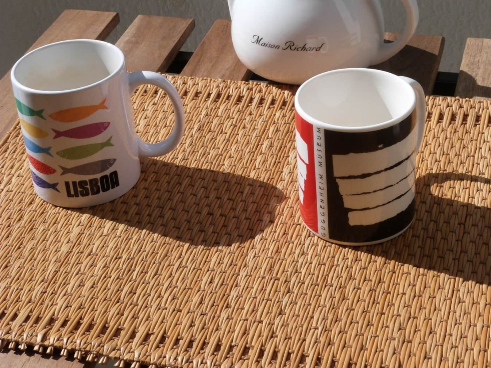 Housesitting assignment in Lisbon, Portugal