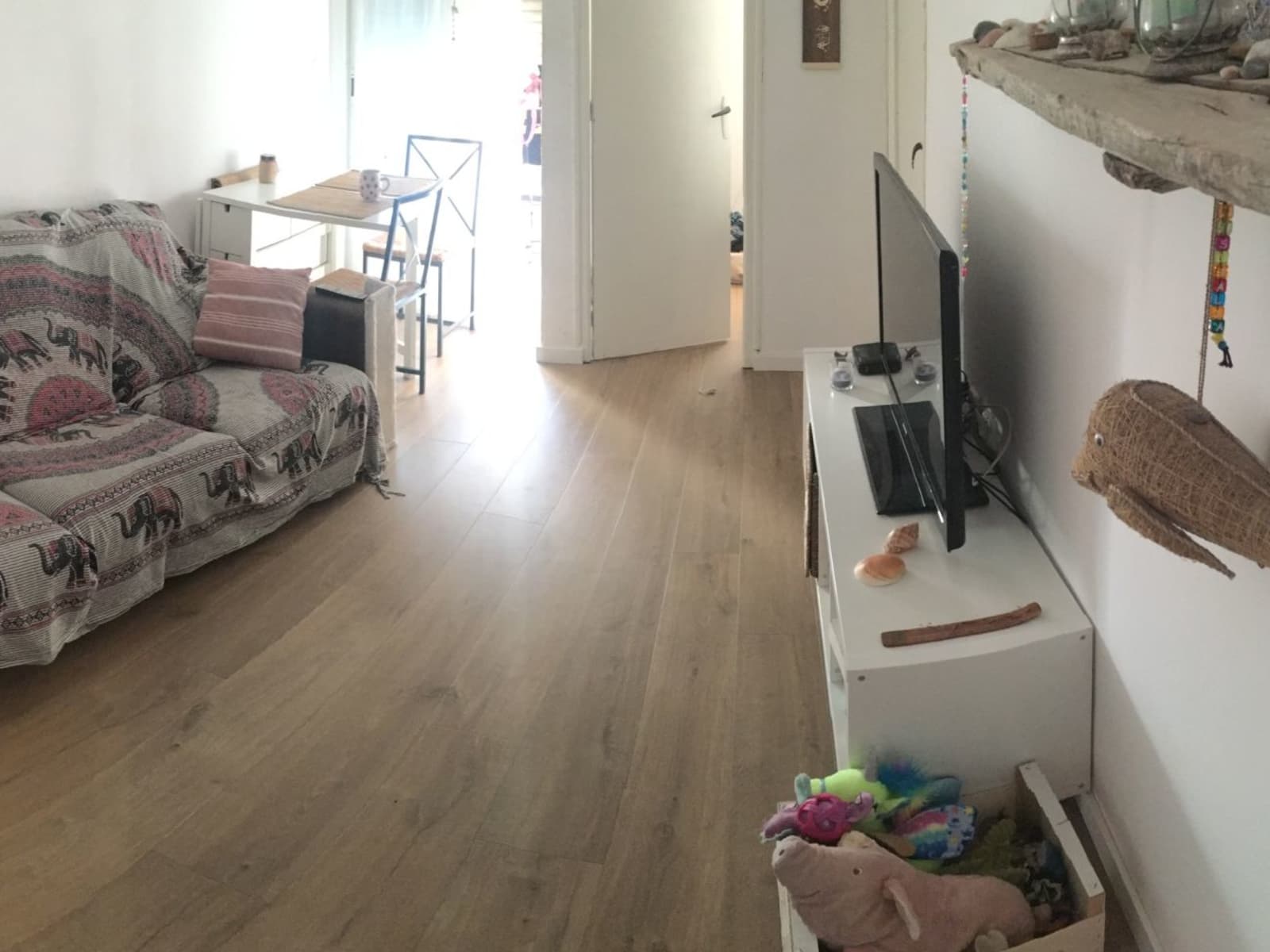 Housesitting assignment in Barcelona, Spain