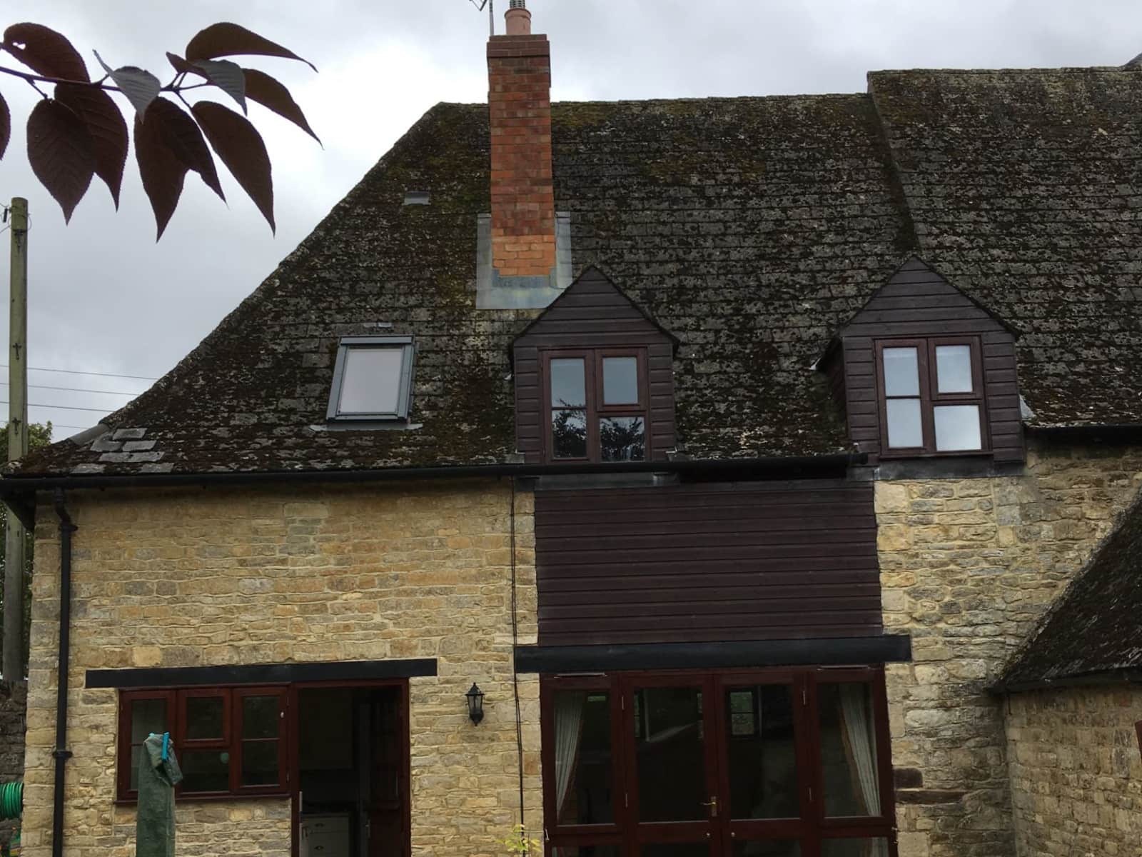 Housesitting assignment in Towcester, United Kingdom