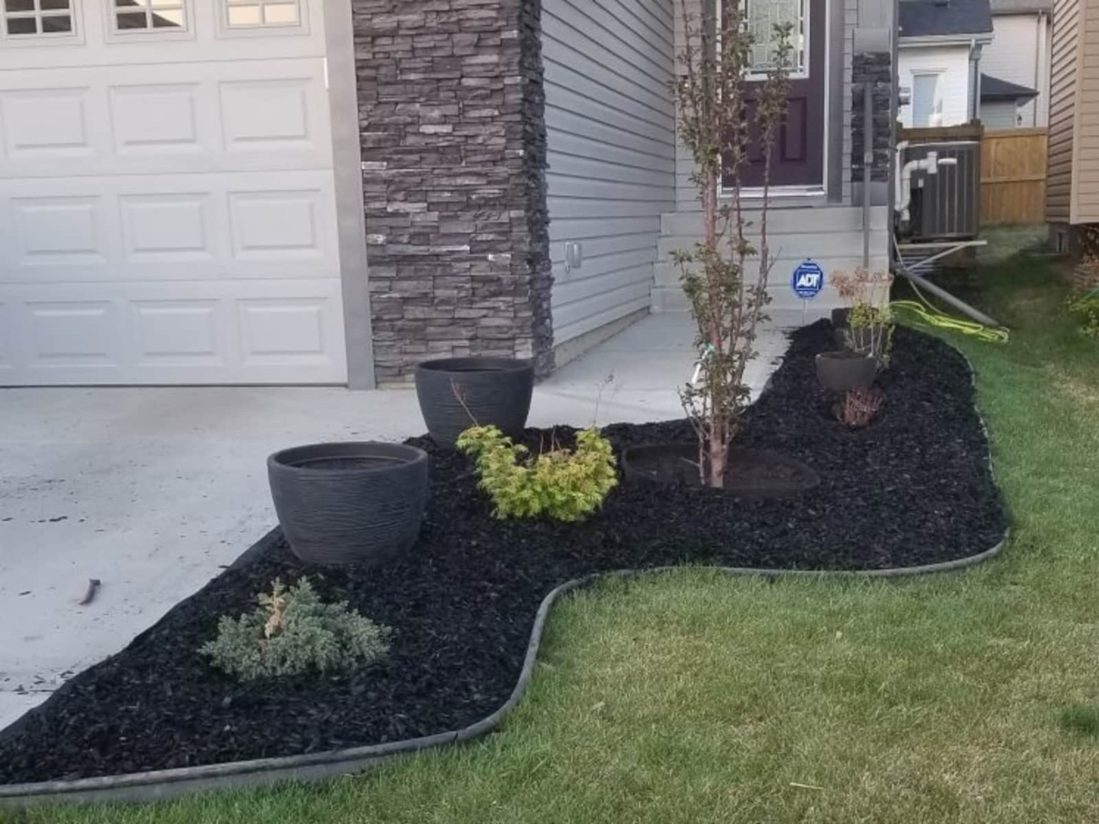 Housesitting assignment in Edmonton, Alberta, Canada