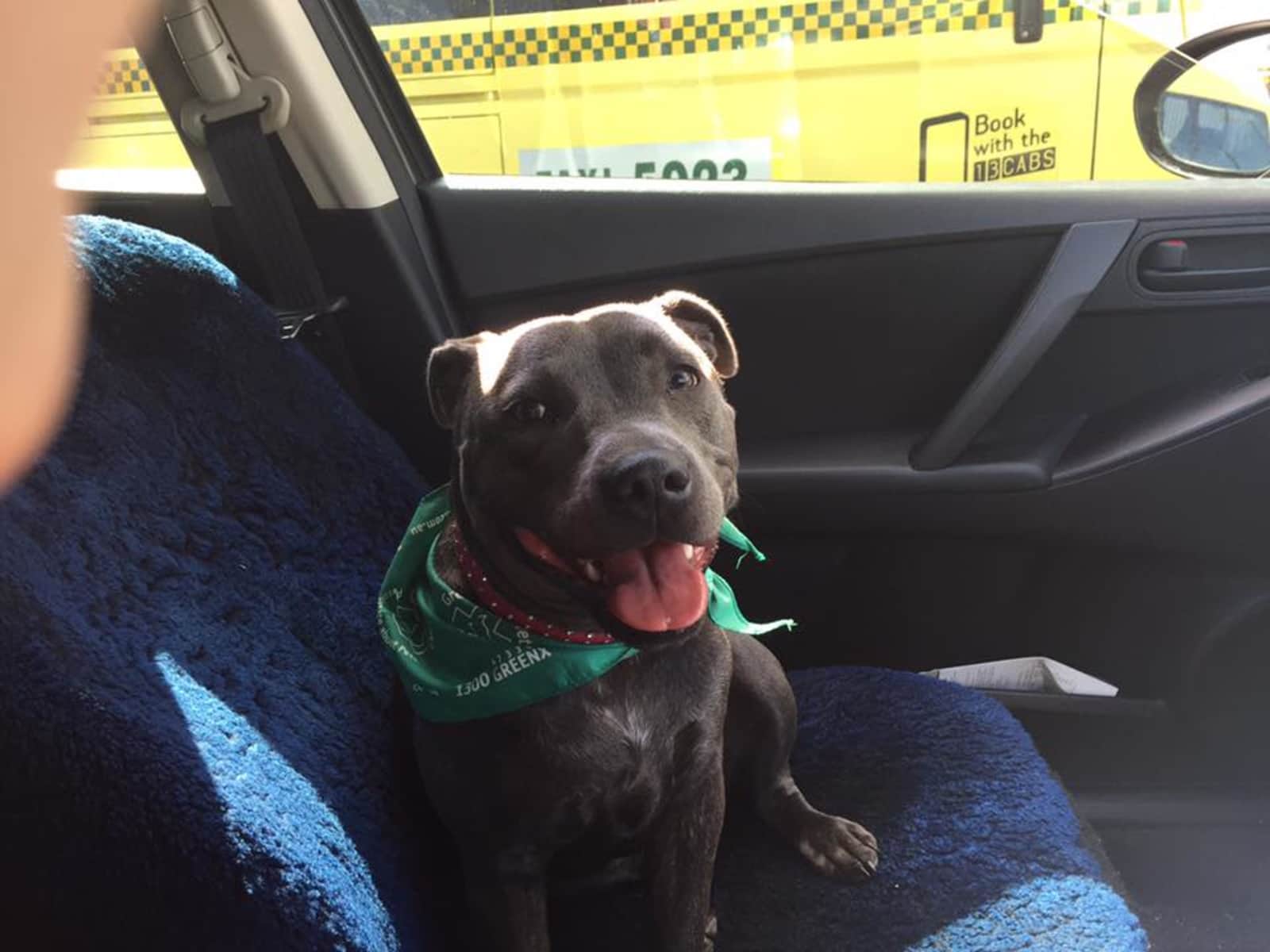 Izabela & Manule from Melbourne, Victoria, Australia