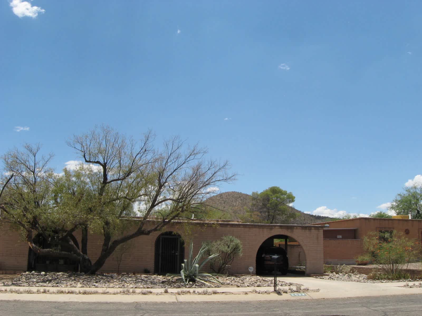Housesitting assignment in Tucson, Arizona, United States