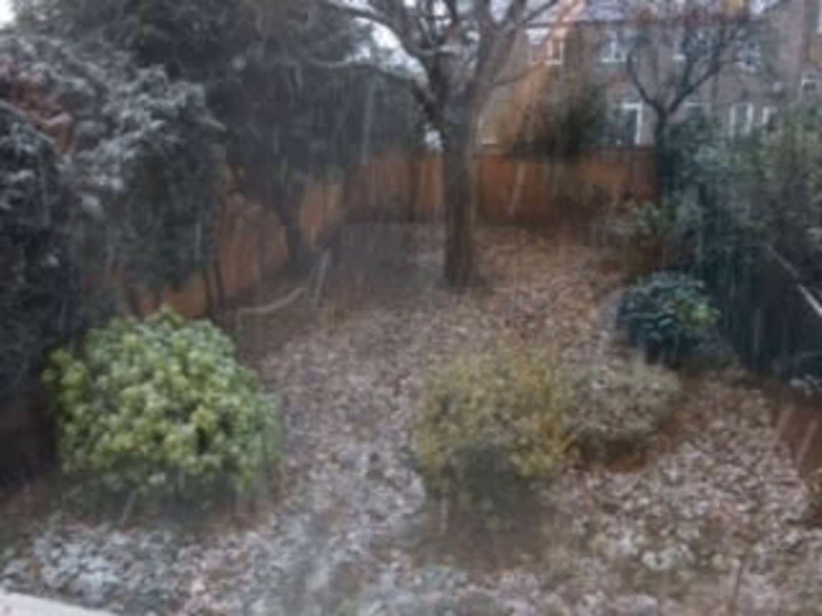 Housesitting assignment in London, United Kingdom