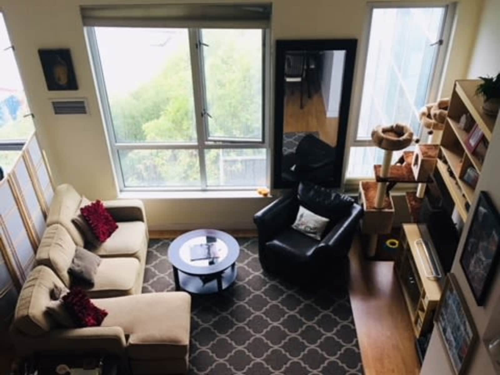 Housesitting assignment in San Francisco, California, United States