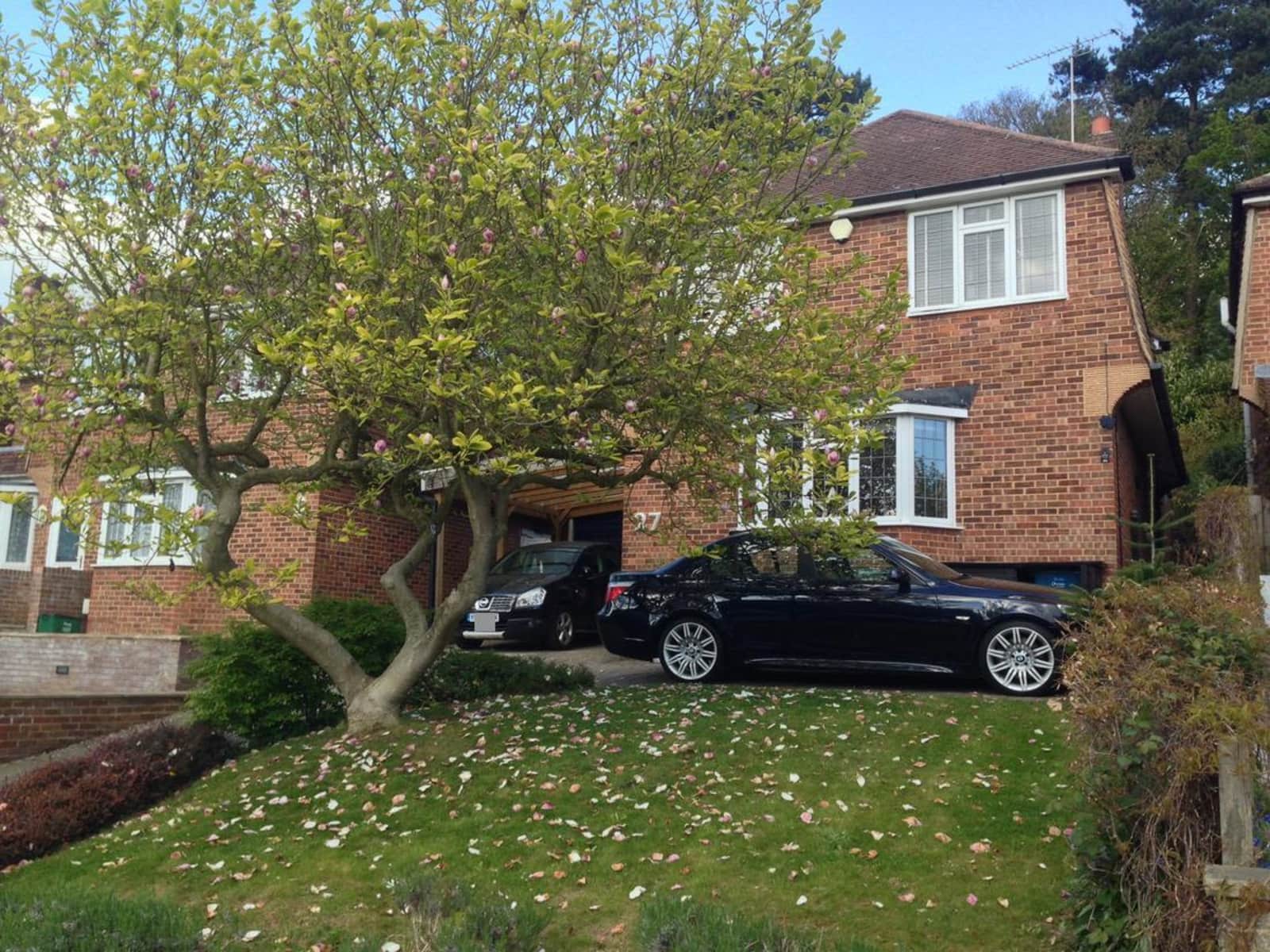Housesitting assignment in South Croydon, United Kingdom
