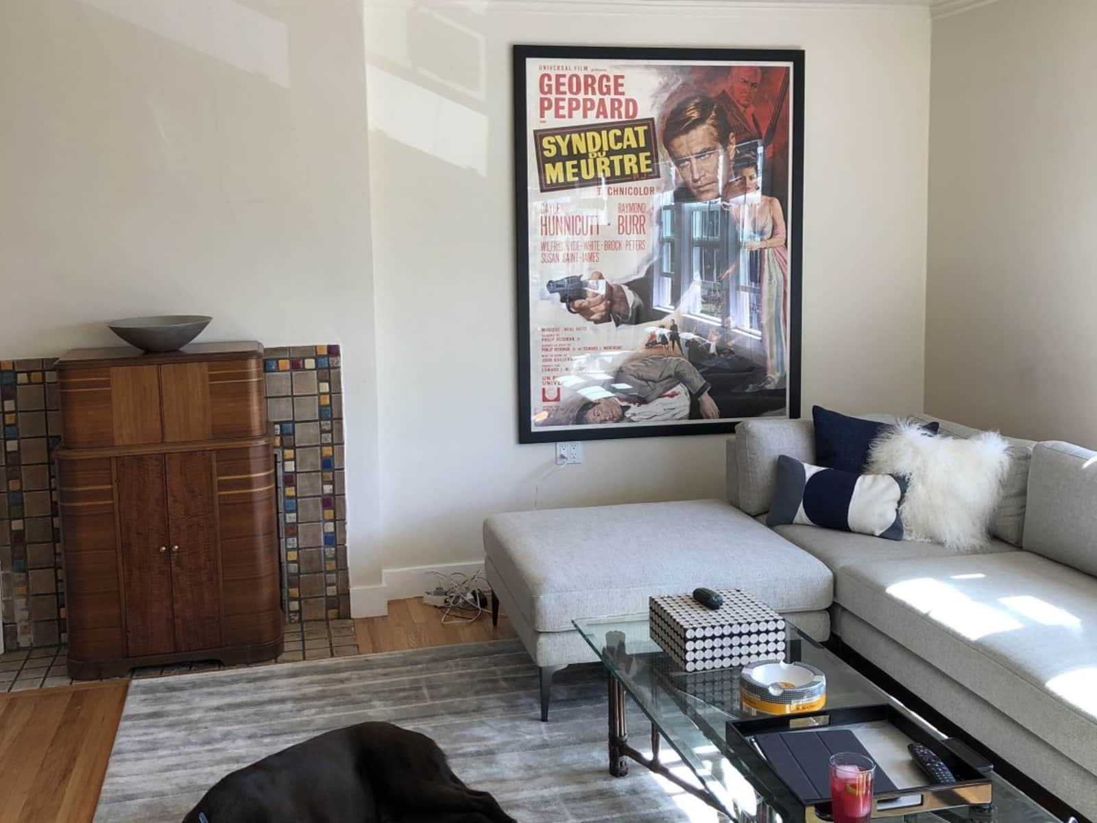 Housesitting assignment in San Francisco, California, United States
