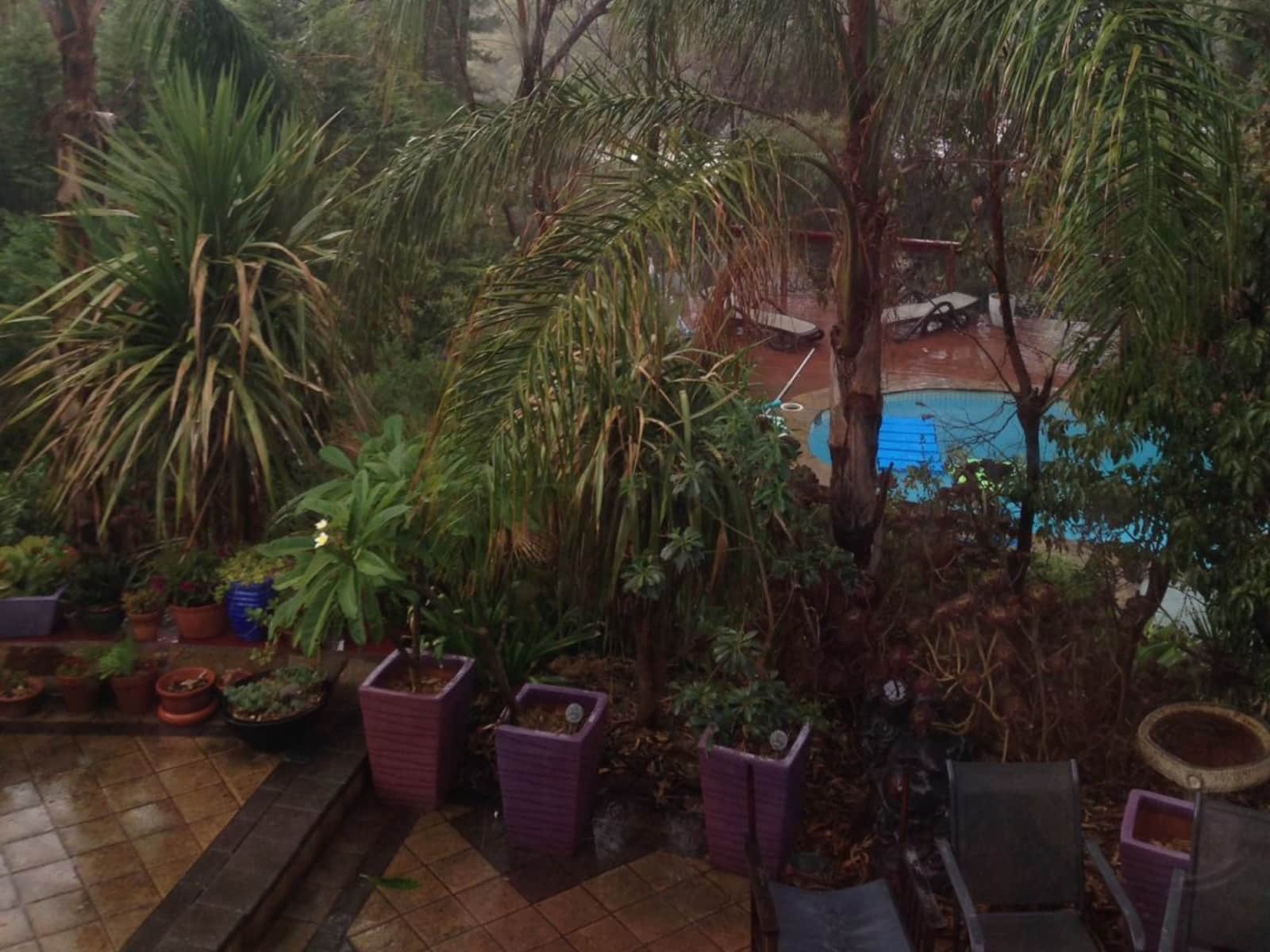 Housesitting assignment in Eden Hills, South Australia, Australia