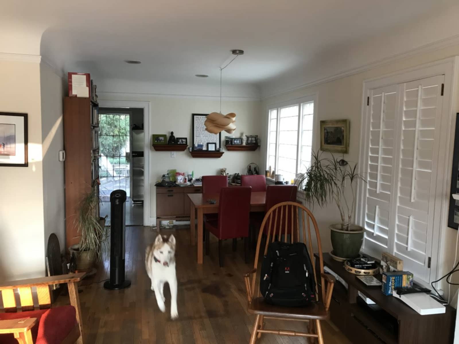 Housesitting assignment in Seattle, Washington, United States
