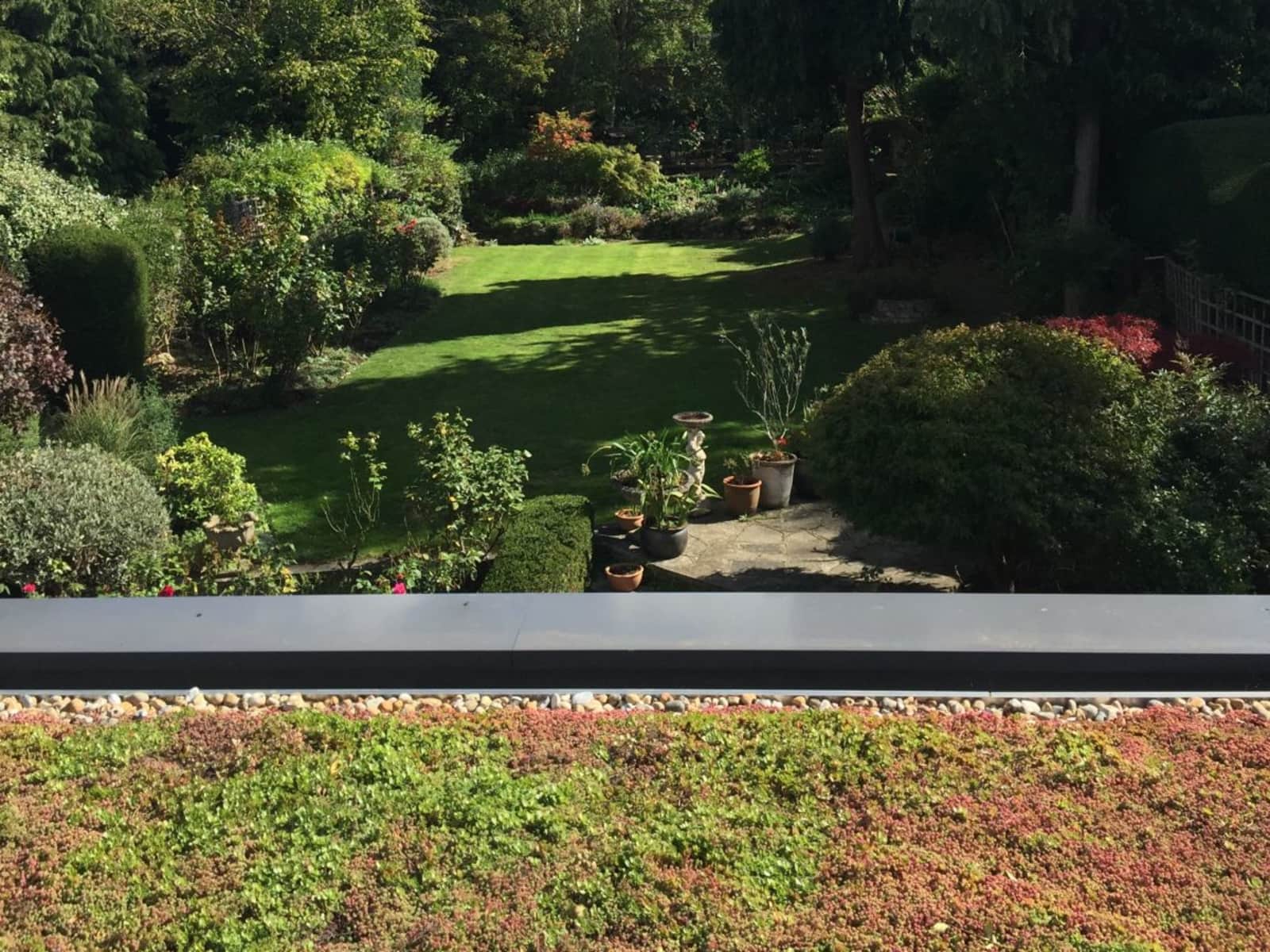 Housesitting assignment in Dulwich, United Kingdom