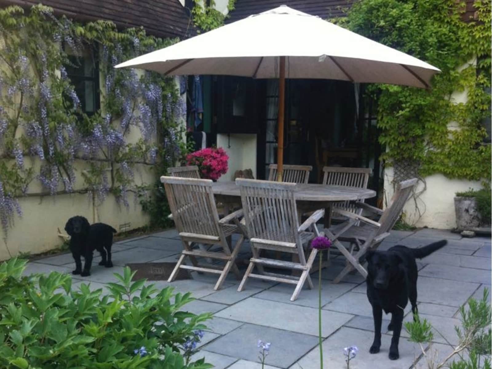 Housesitting assignment in Dorking, United Kingdom