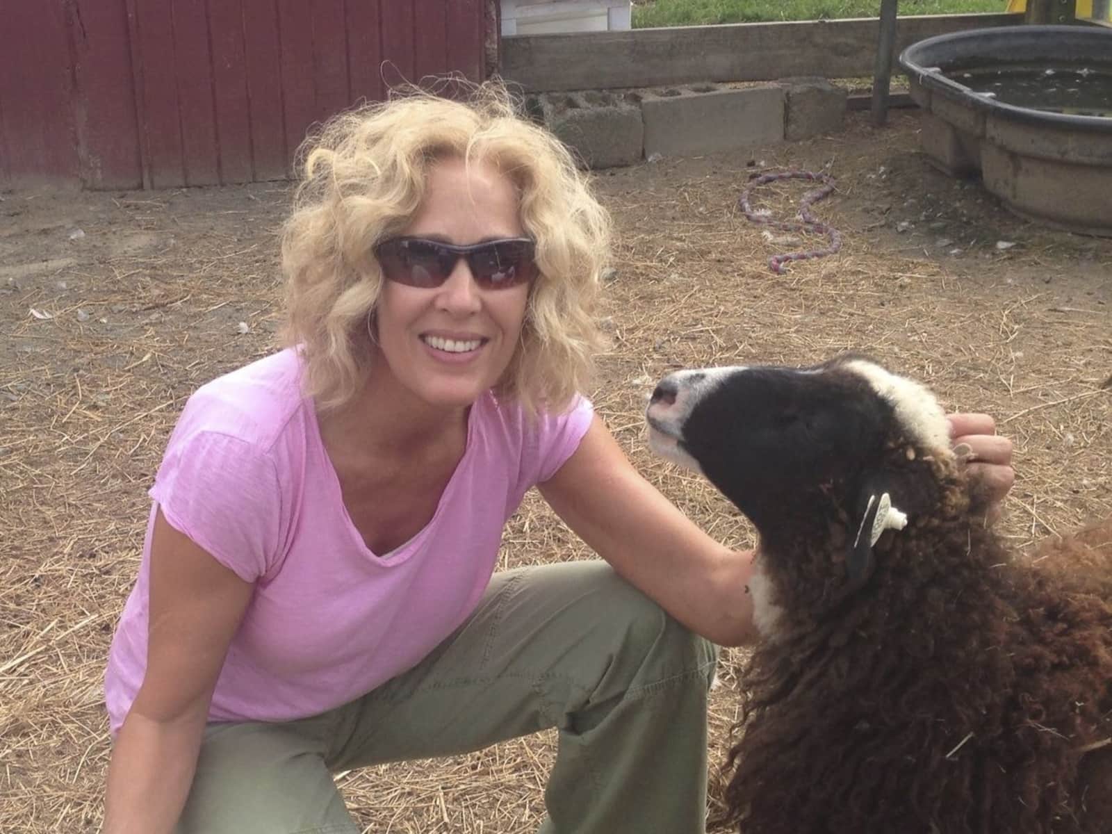 Daryl from Tucson, Arizona, United States