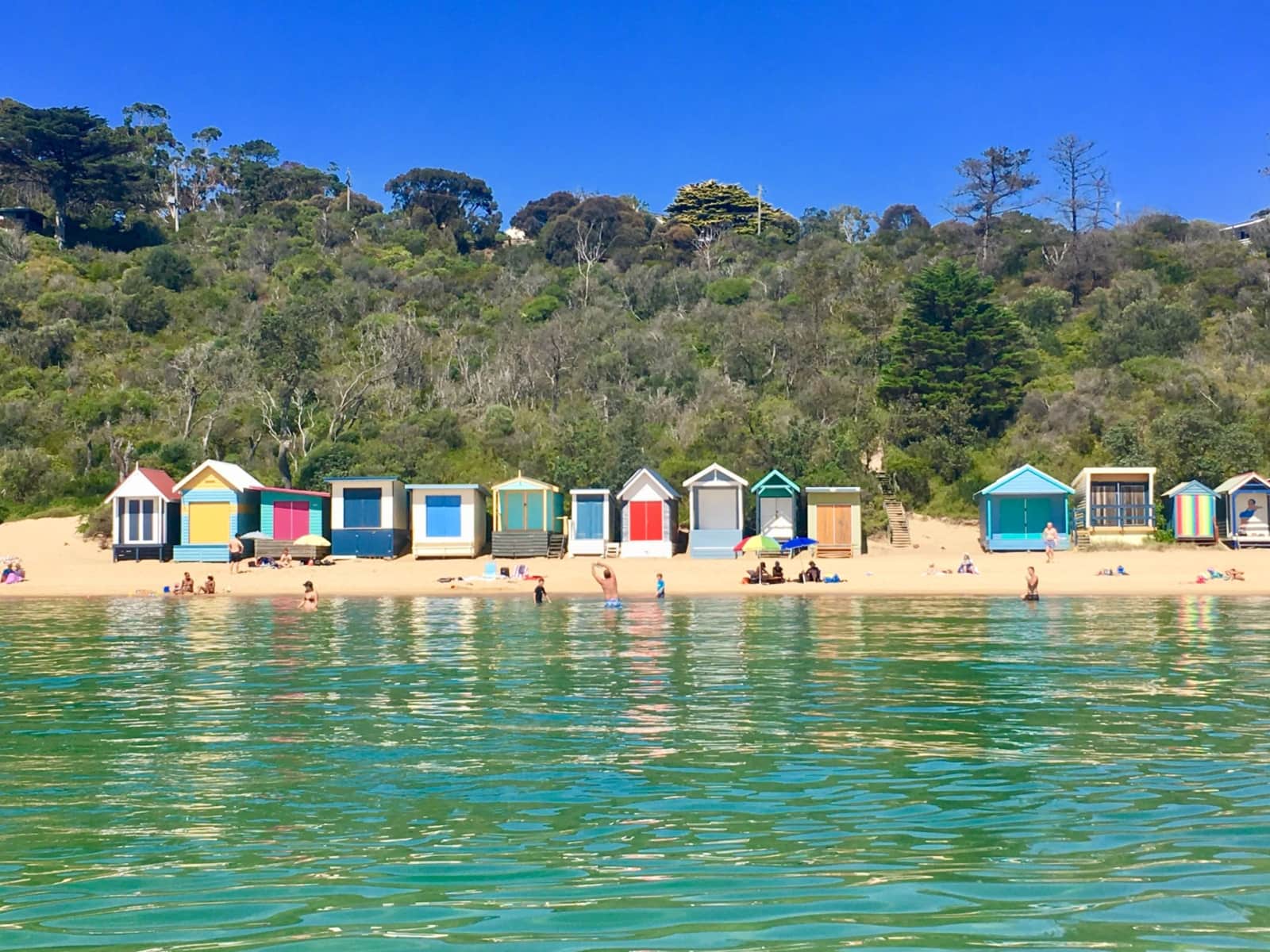 Housesitting assignment in Mount Martha, Victoria, Australia
