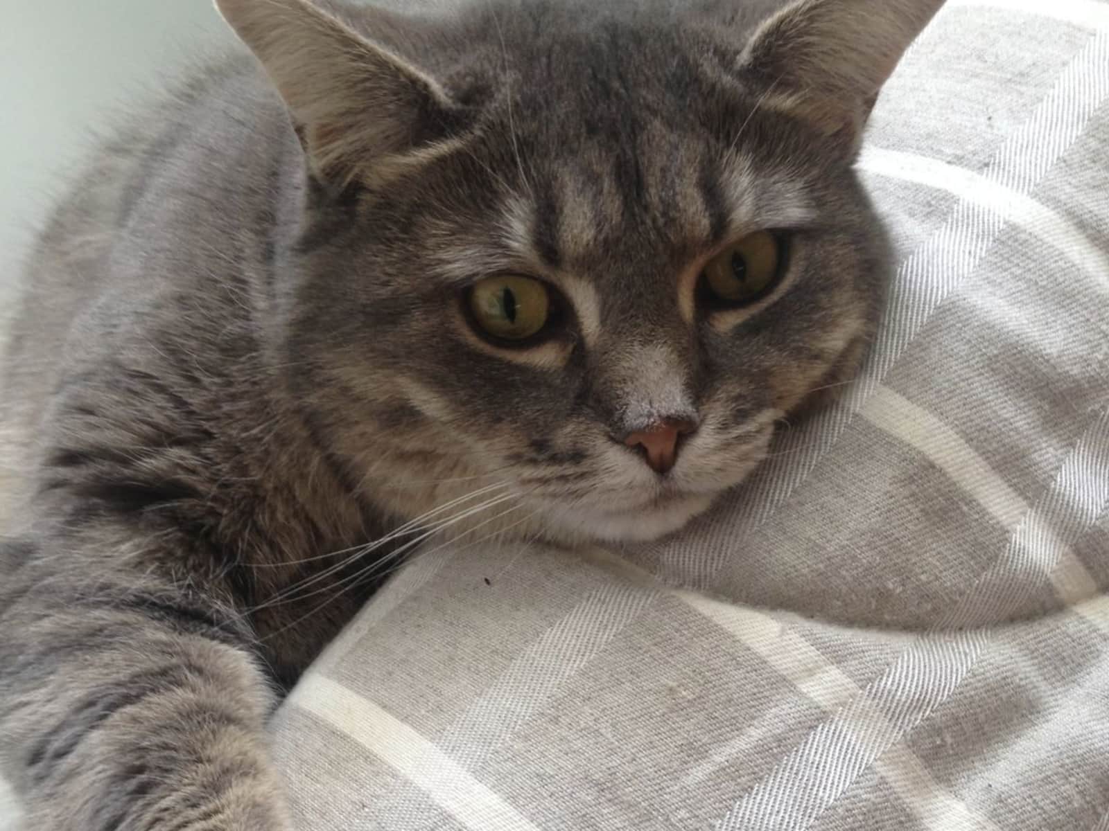 Claudine from Kingston, Ontario, Canada