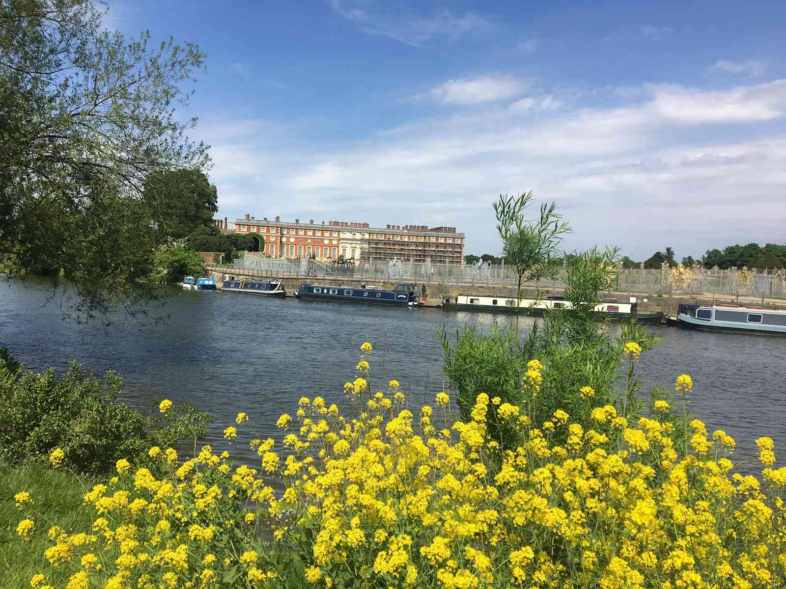 Housesitting assignment in Thames Ditton, United Kingdom