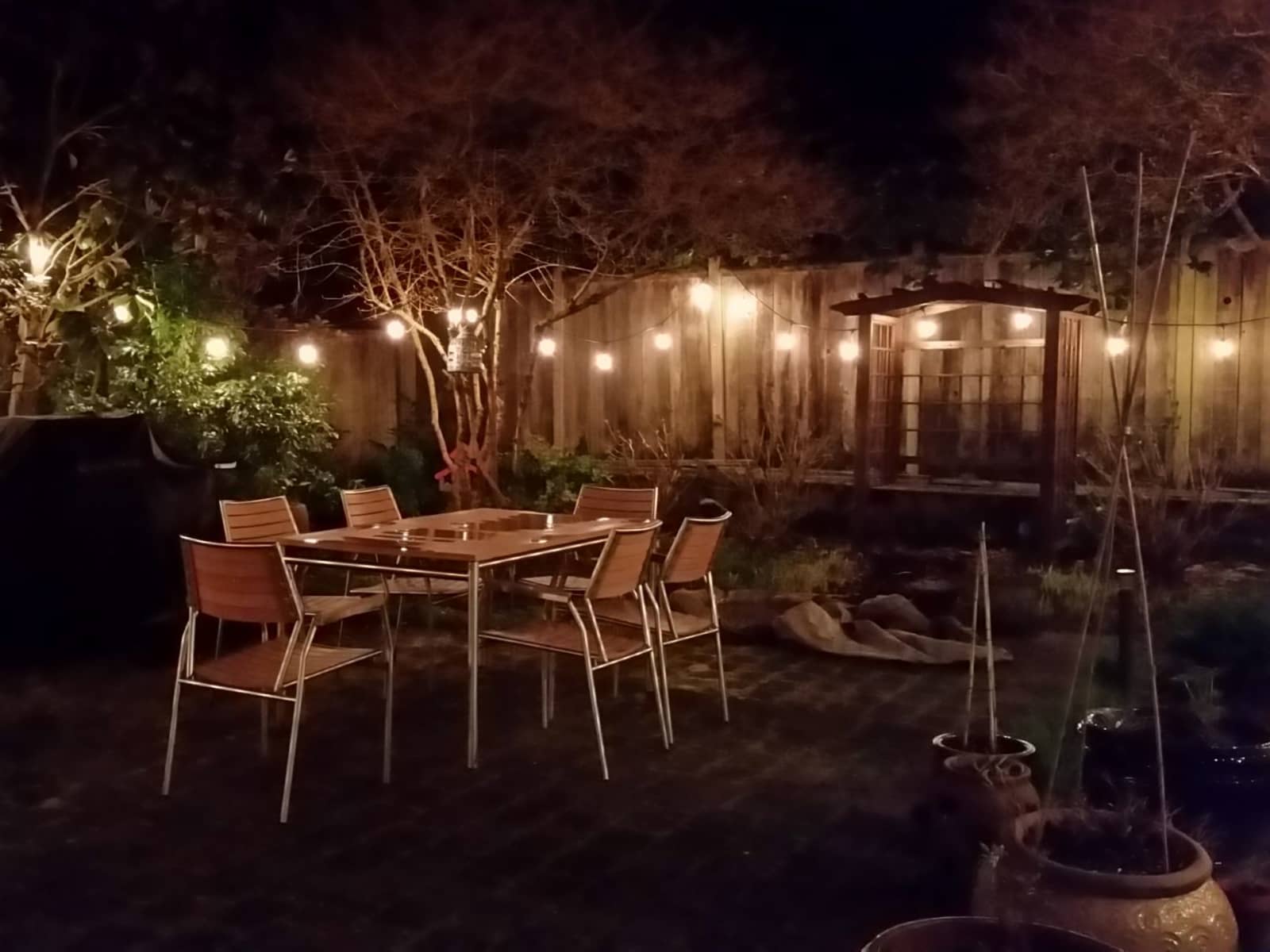 Housesitting assignment in Seattle, Washington, United States