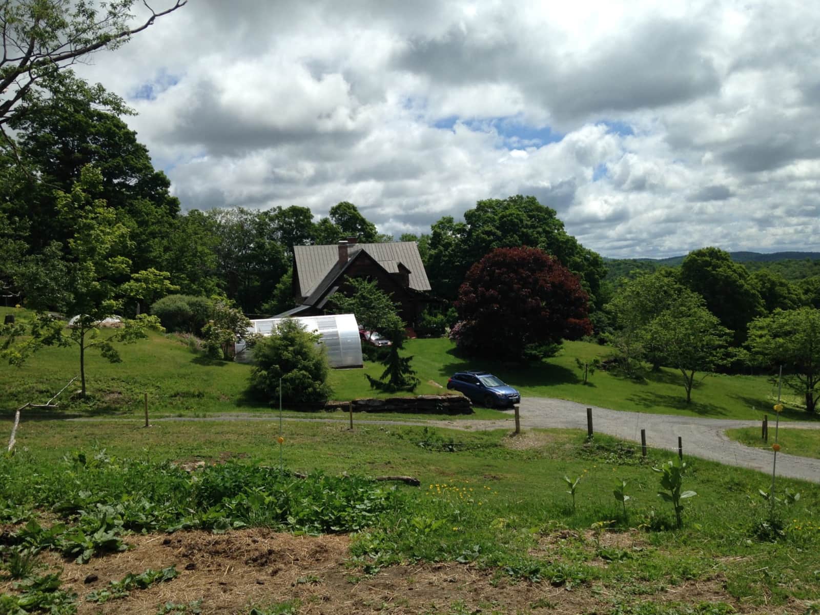 Housesitting assignment in Washington, Vermont, United States