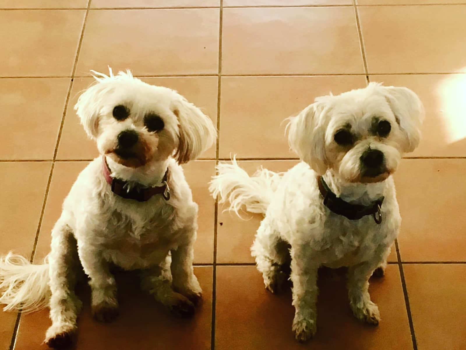 Kim & Gary from Gold Coast, Queensland, Australia
