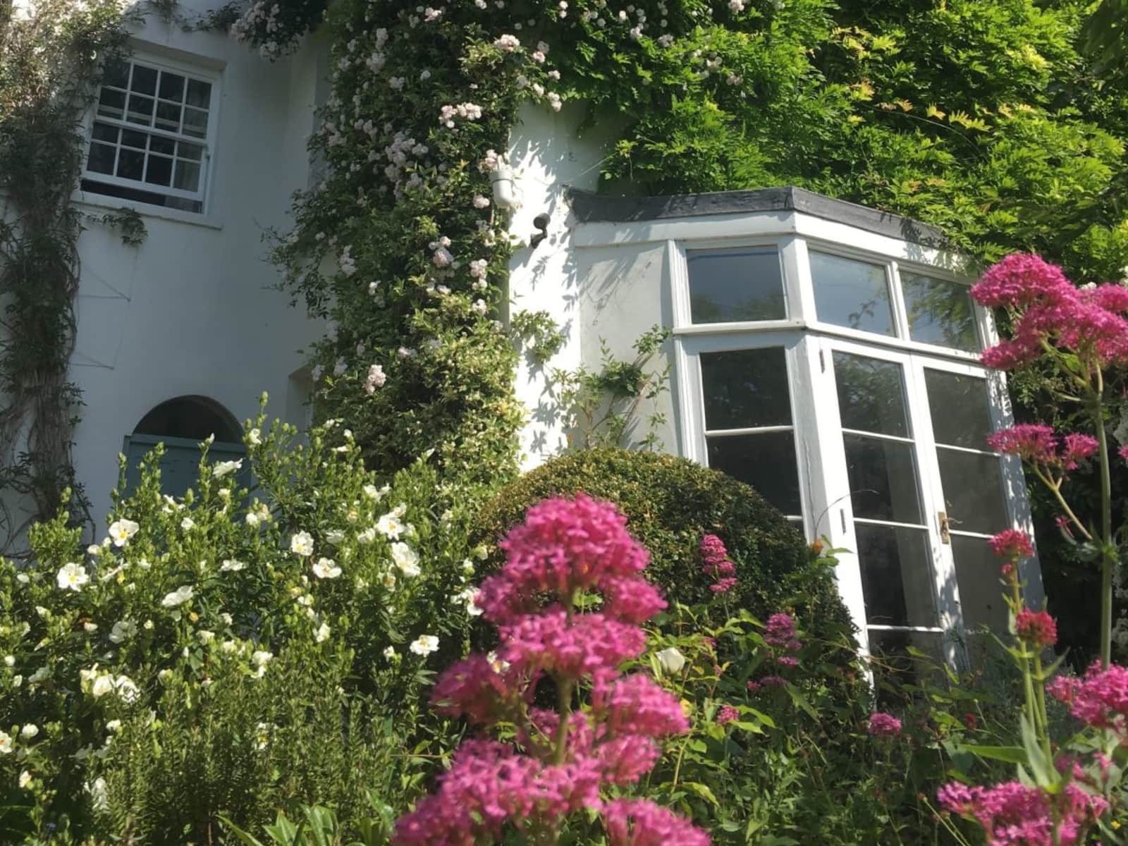 Housesitting assignment in Bristol, United Kingdom