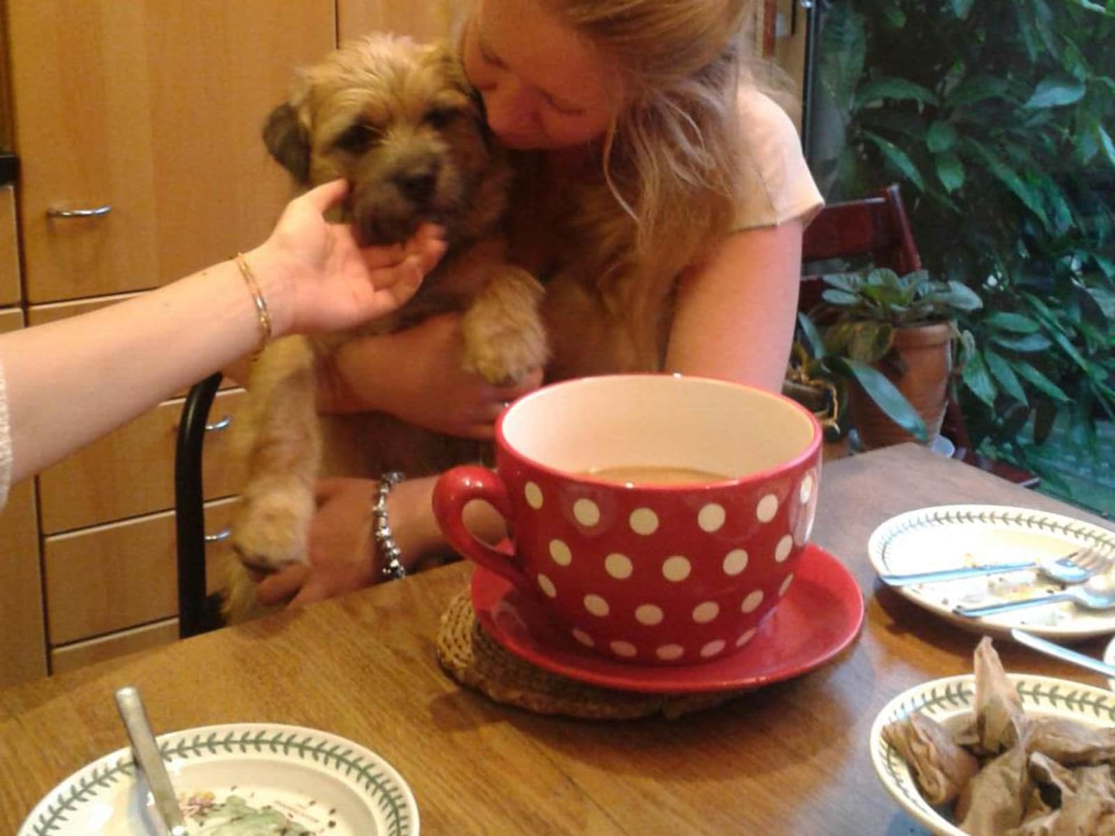 Emily from Oxford, United Kingdom