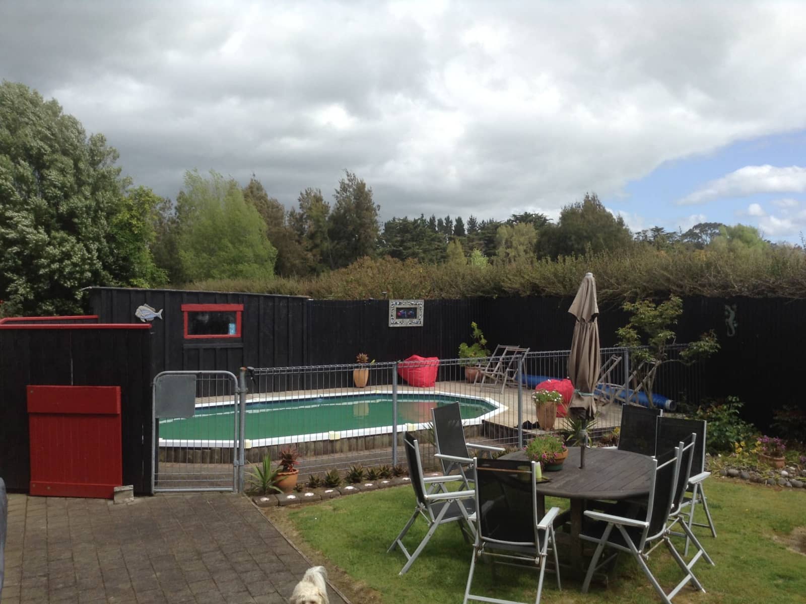 Housesitting assignment in New Plymouth, New Zealand