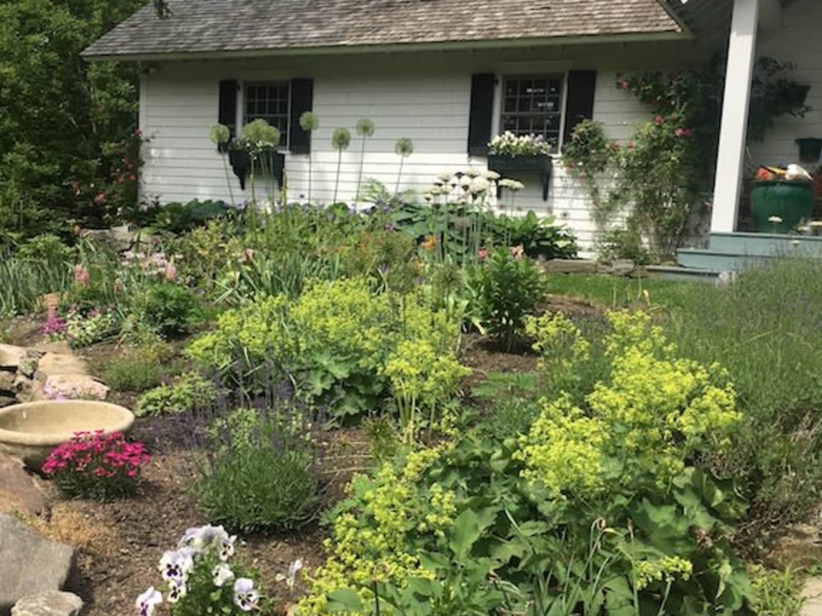Housesitting assignment in Briarcliff Manor, New York, United States