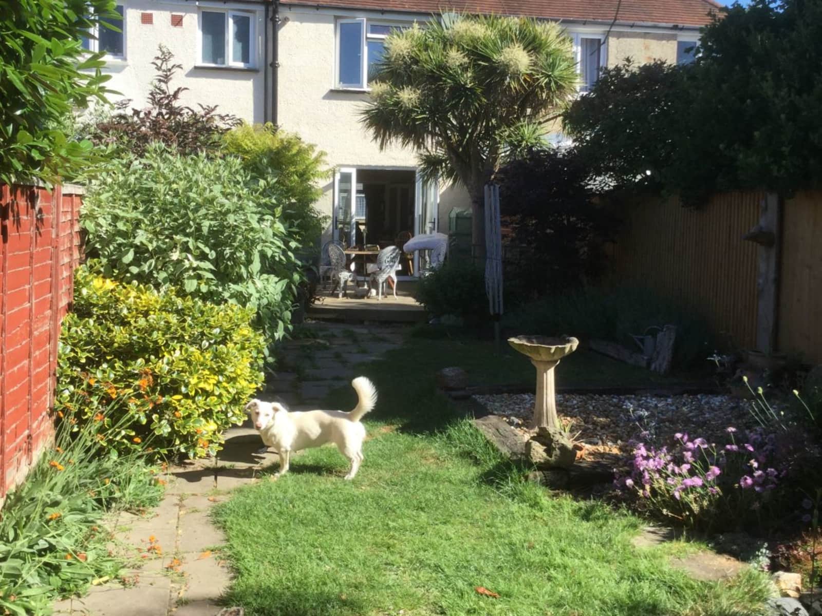Housesitting assignment in Worthing, United Kingdom
