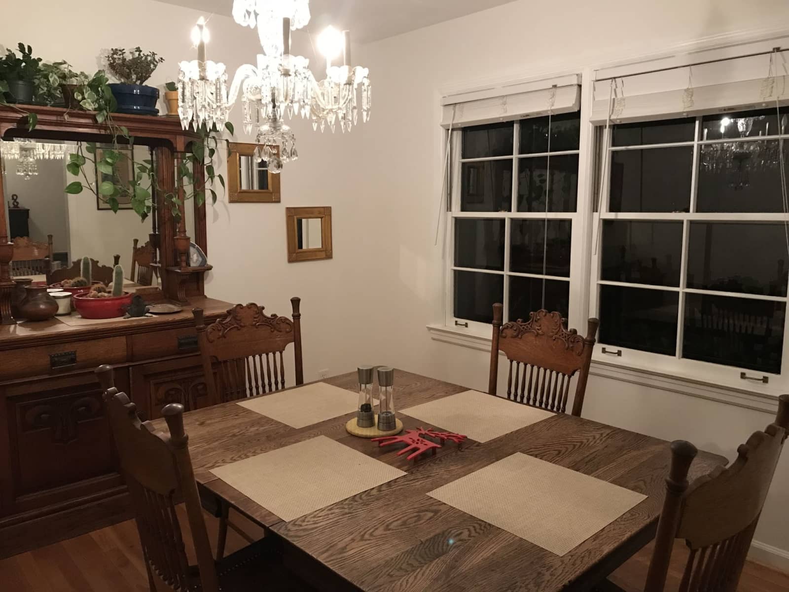 Housesitting assignment in Atlanta, Georgia, United States
