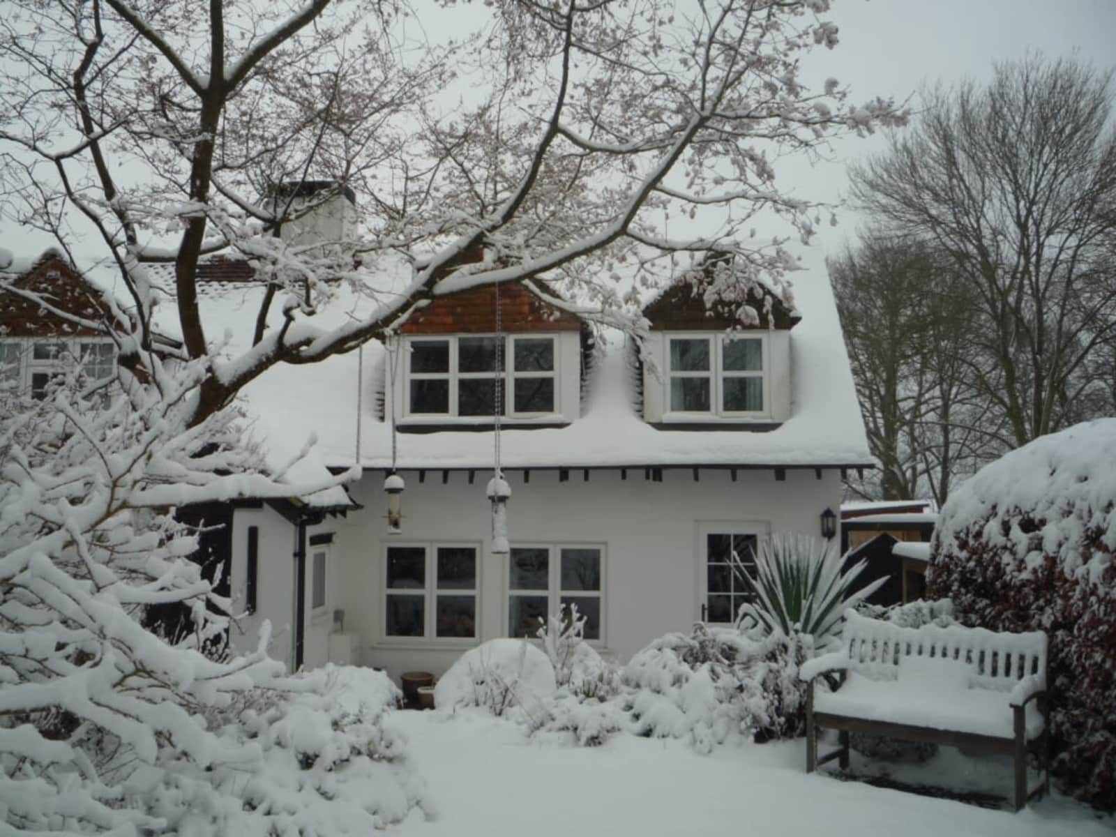 Housesitting assignment in Bishops Waltham, United Kingdom