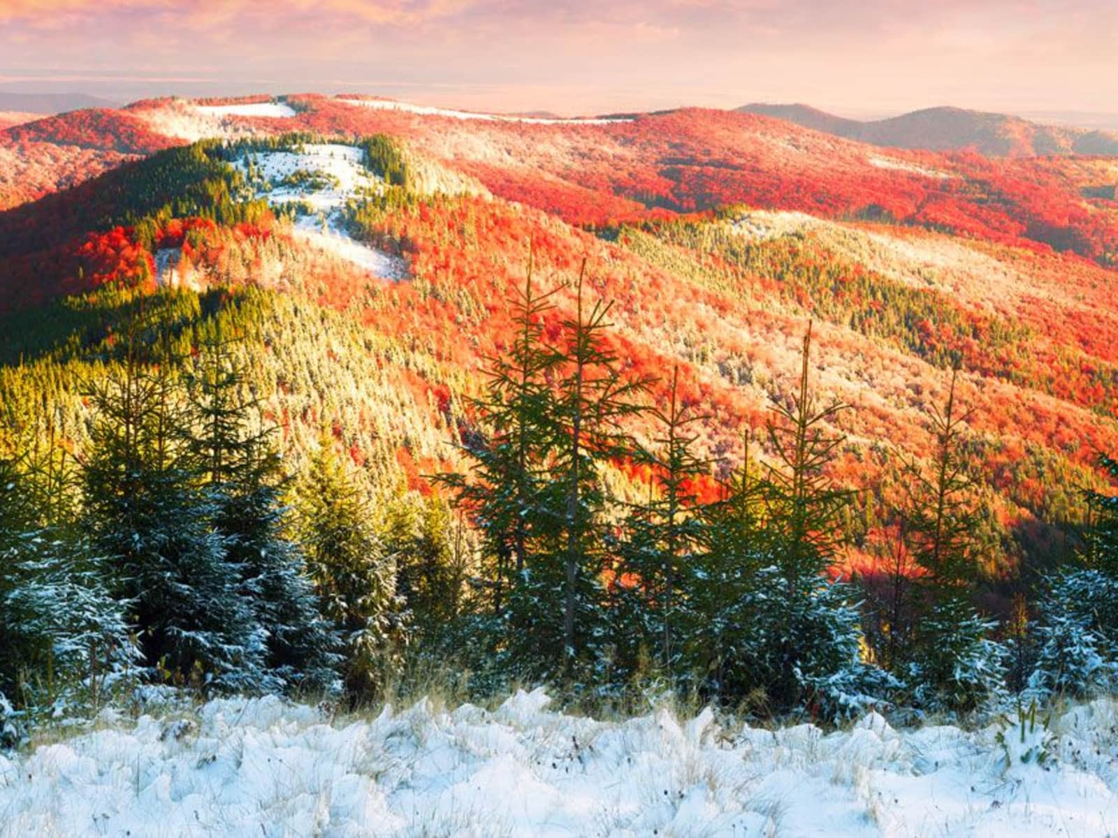 Housesitting assignment in Asheville, North Carolina, United States