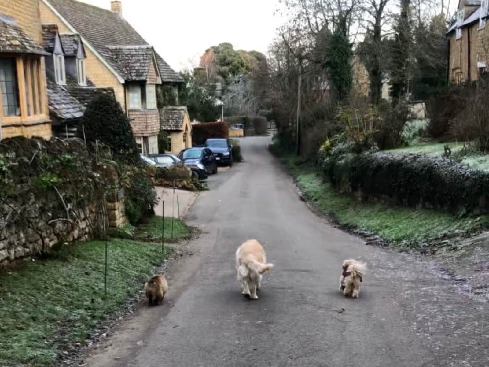 Housesitting assignment in Ilmington, United Kingdom