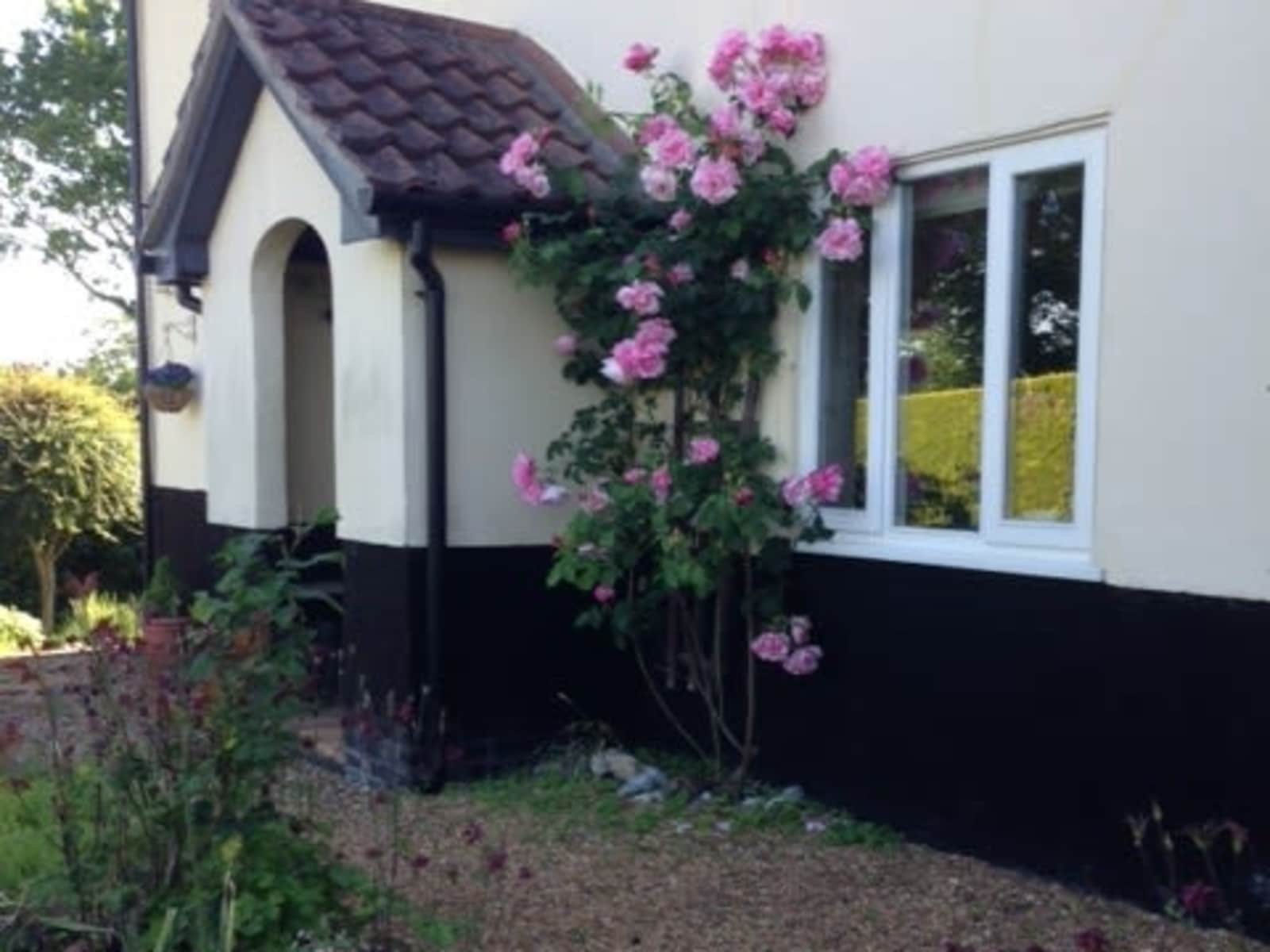 Housesitting assignment in Hardingham, United Kingdom