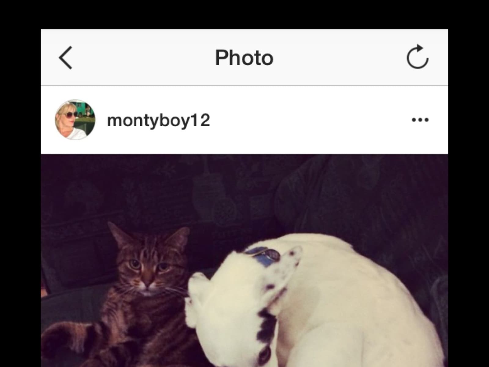 Housesitting assignment in Norwich, United Kingdom