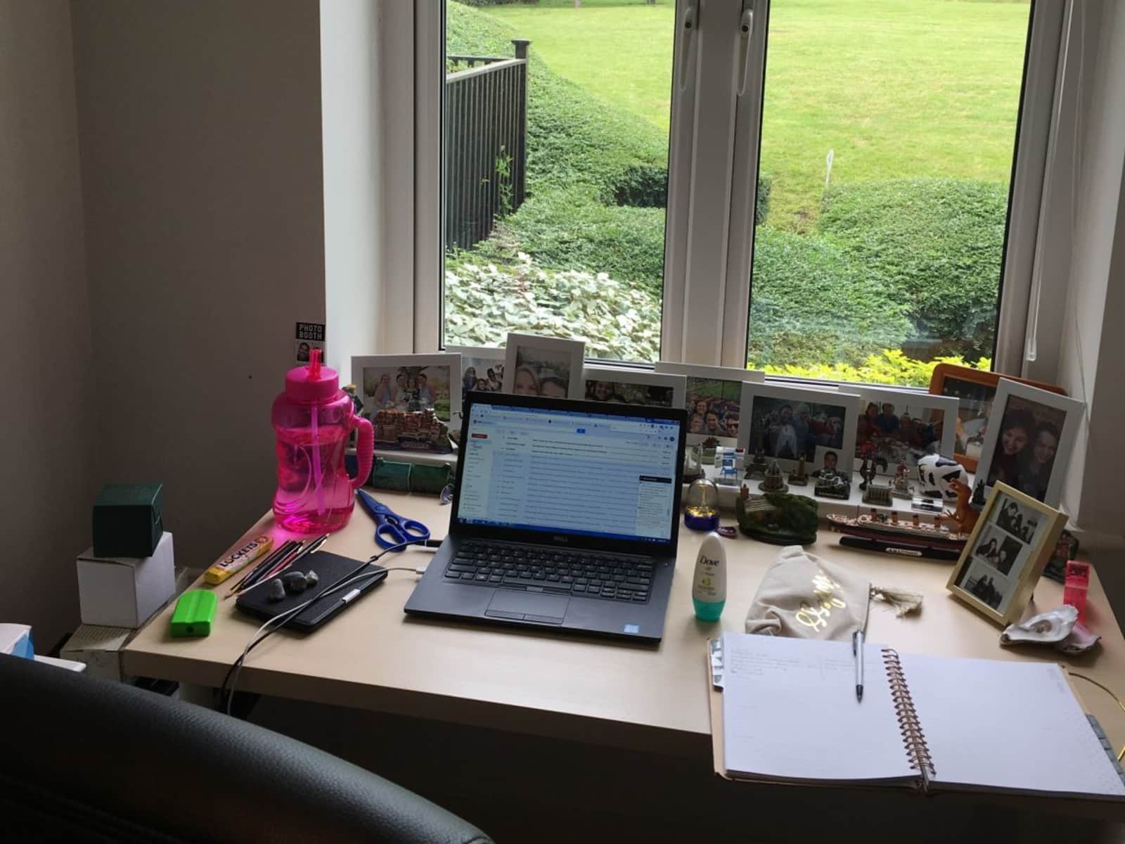 Housesitting assignment in London, United Kingdom